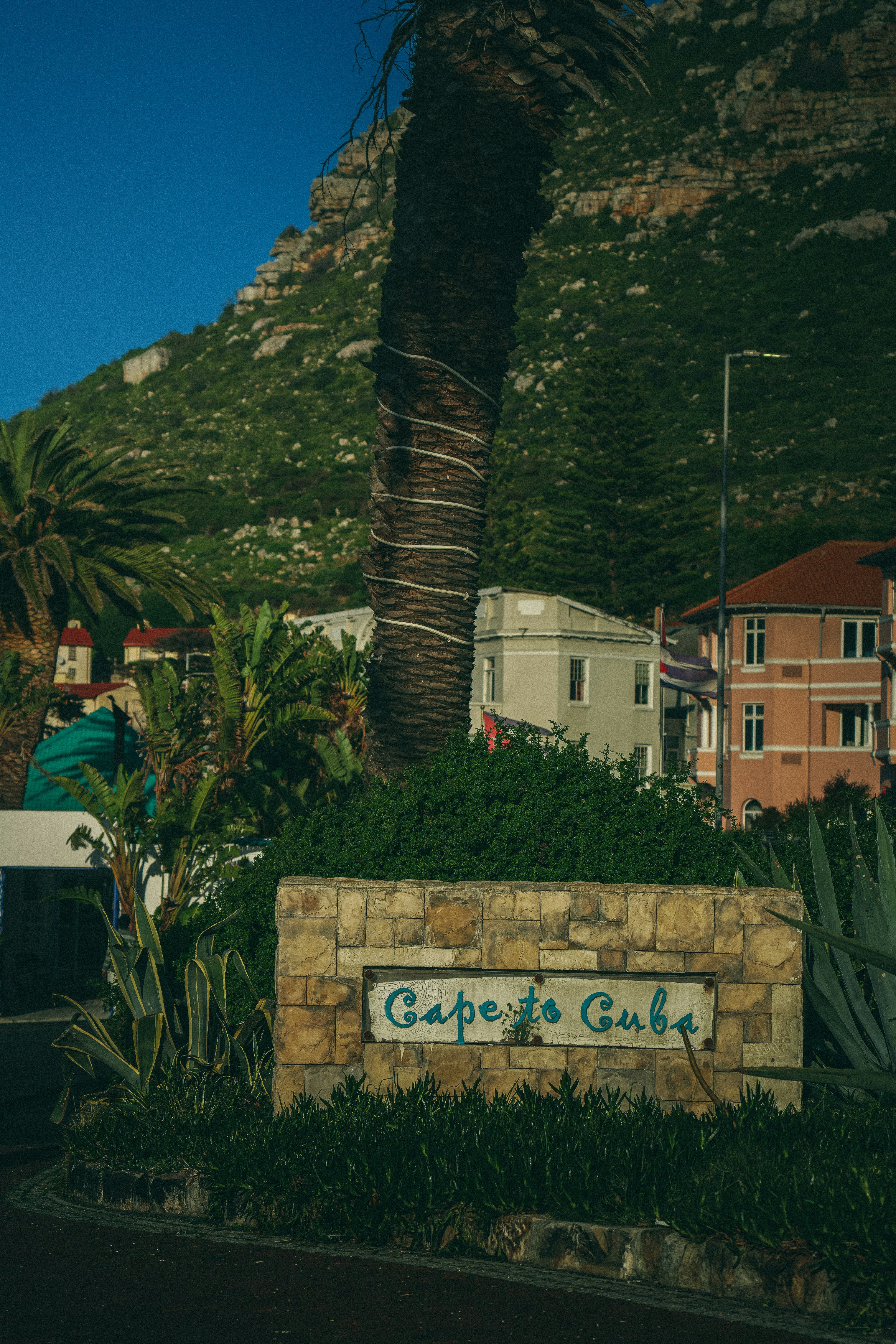 The Cape Peninsula Drive: From Cape Town to Cape Point