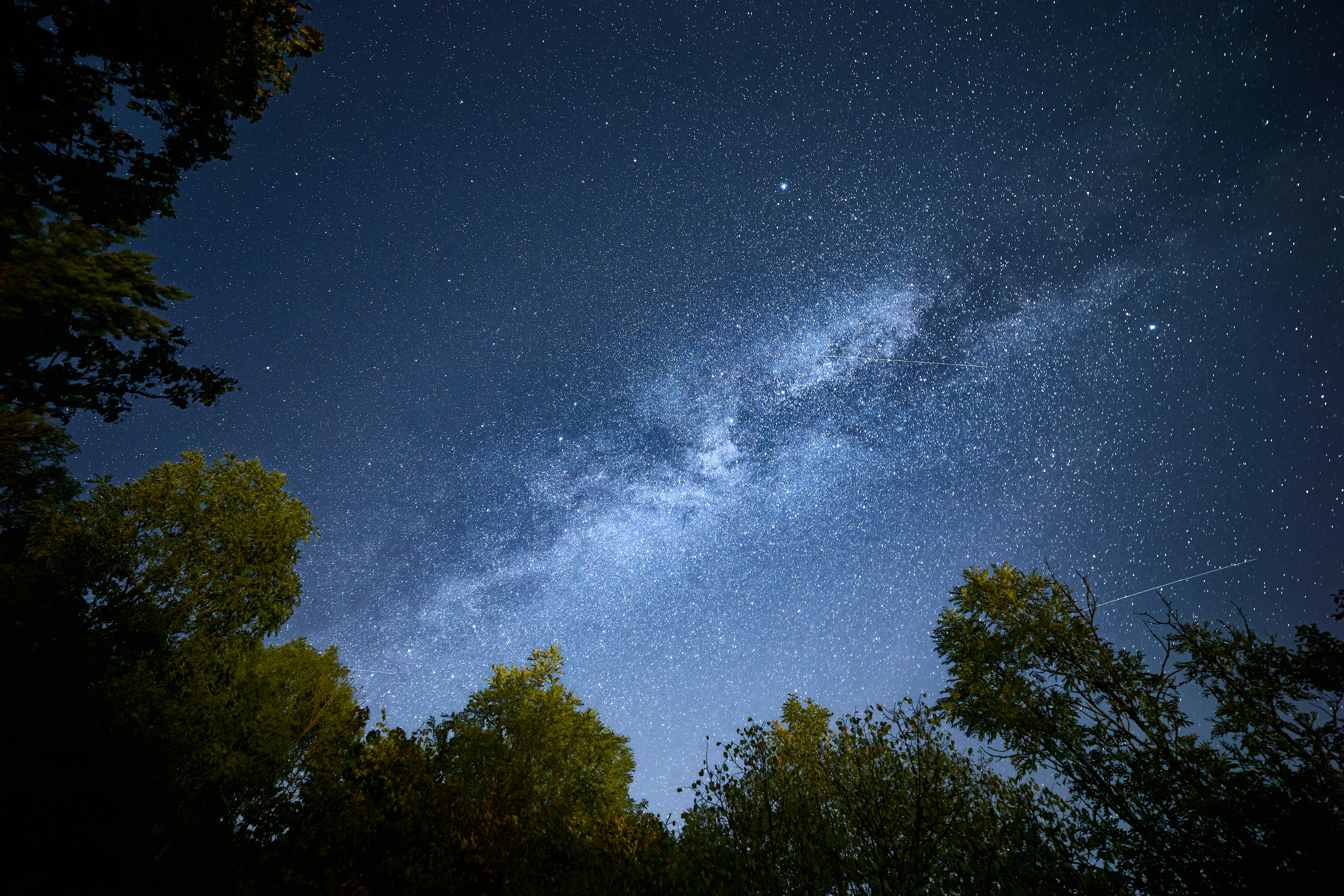 The Milky Way galaxy glowing above the silhouettes of dark forest trees.