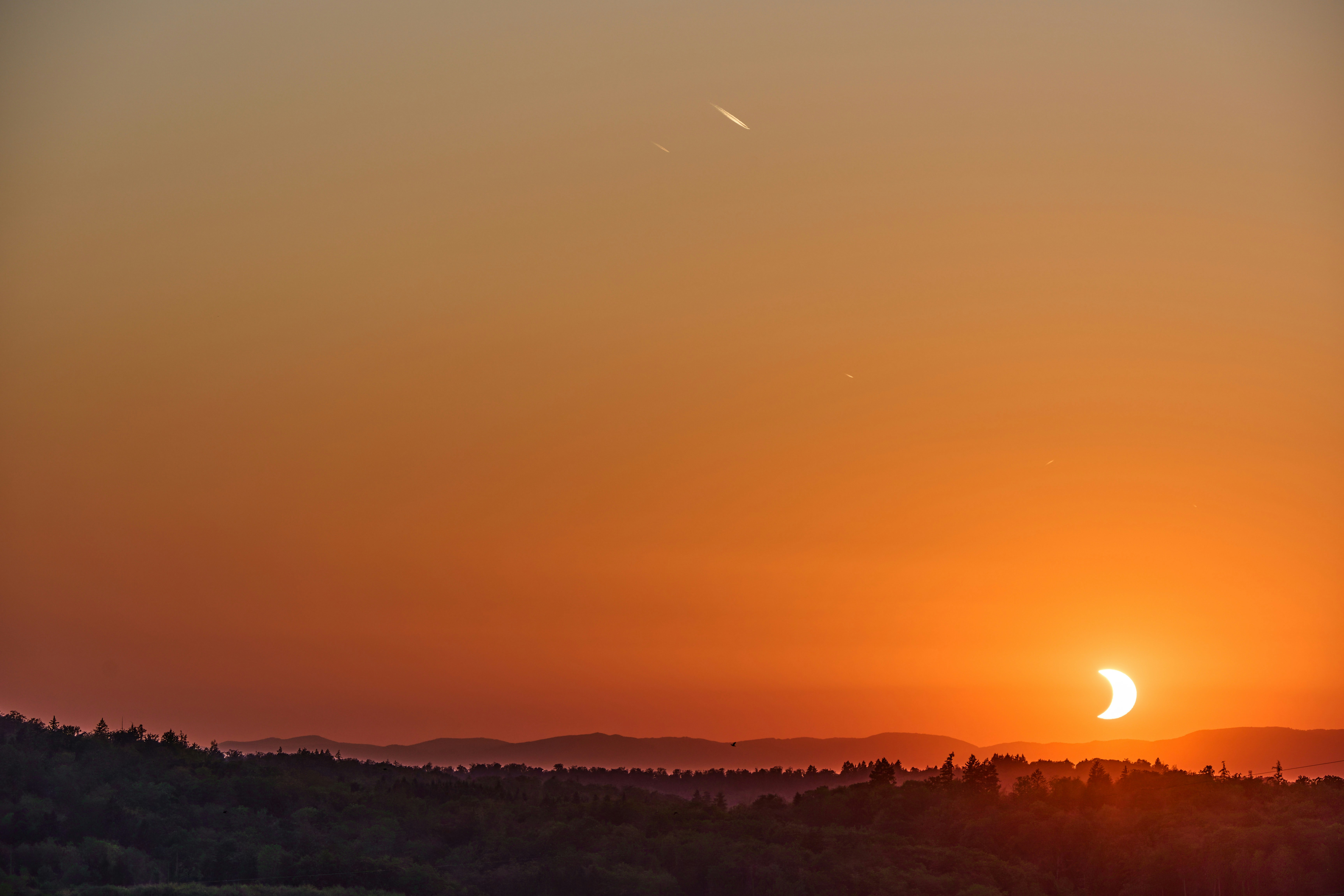 A partial solar eclipse above a dark forest silhouette against a warm orange sky.
