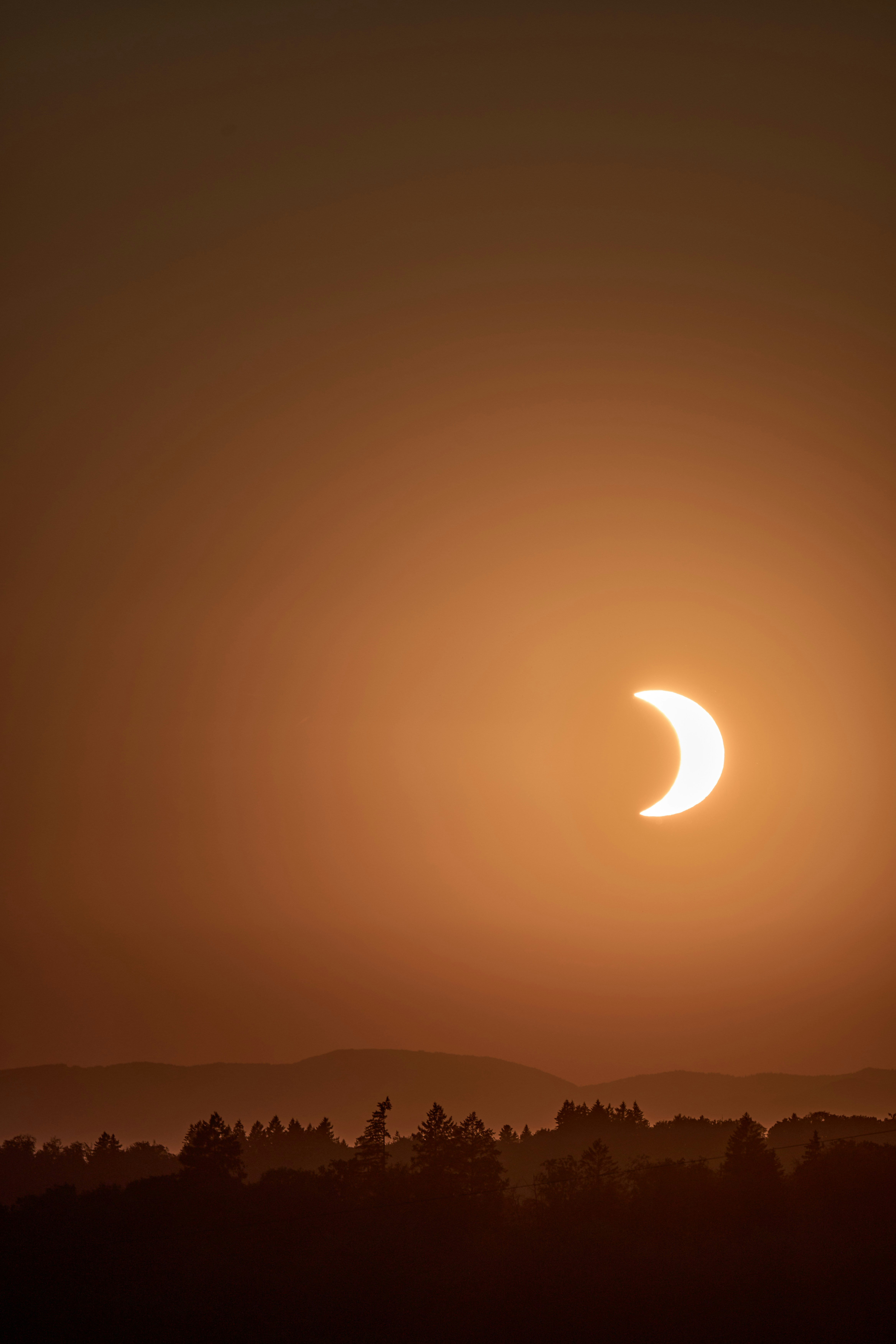 A crescent sun in a warm orange sky above a dark forest silhouette.