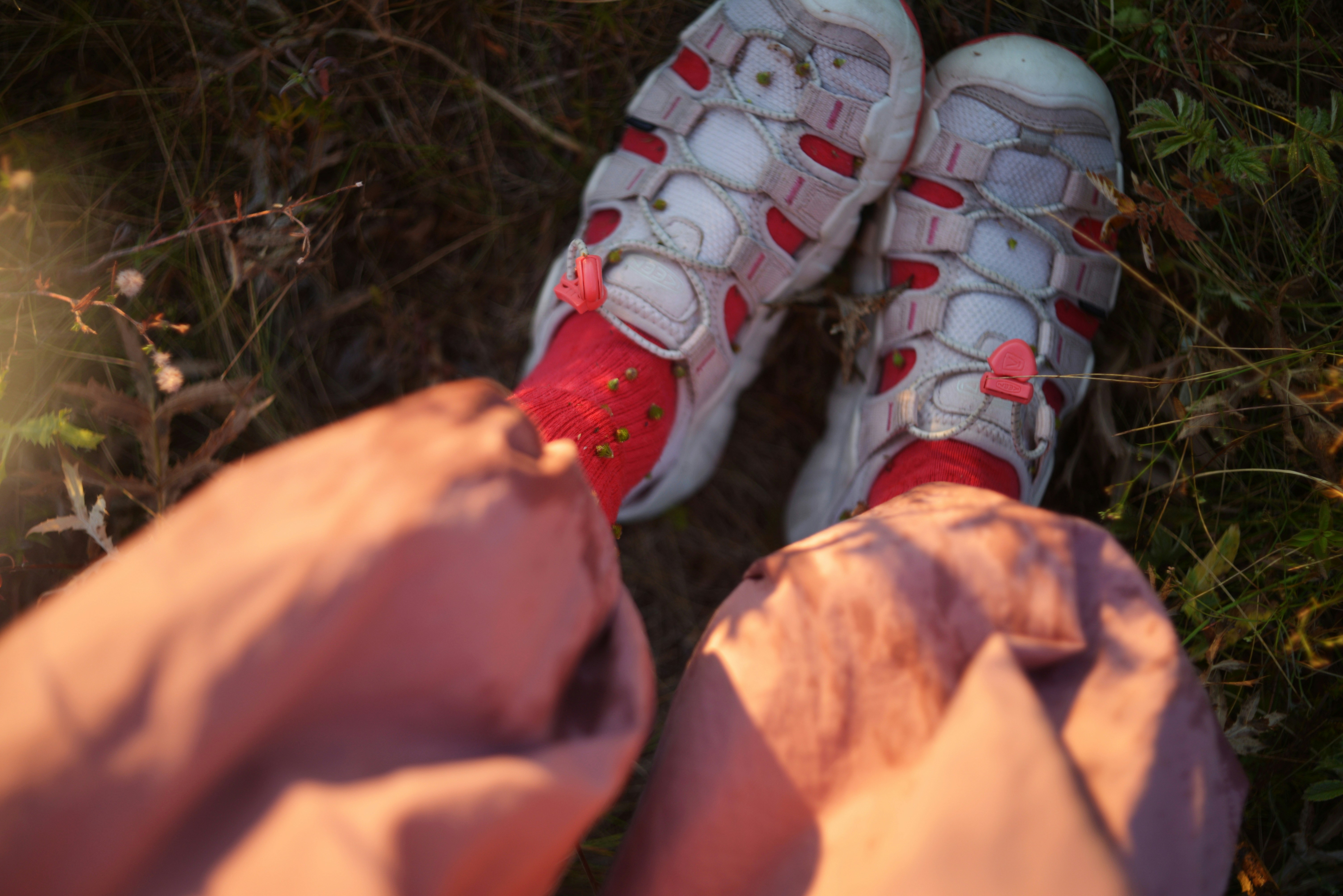 A person wearing white sandals and red socks in tall grass at golden hour