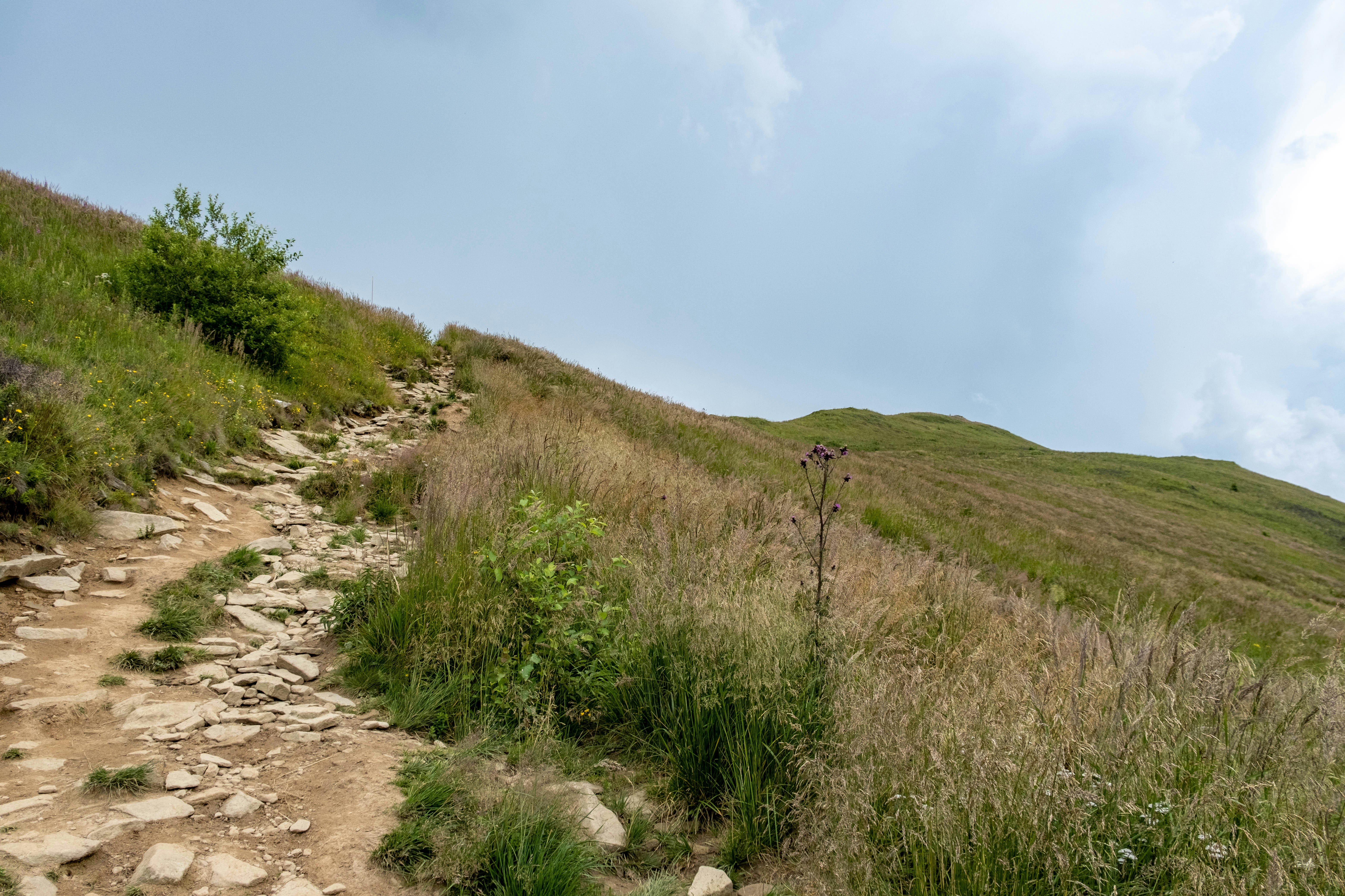 A rocky hiking trail winding up a grassy mountain slope under a cloudy sky