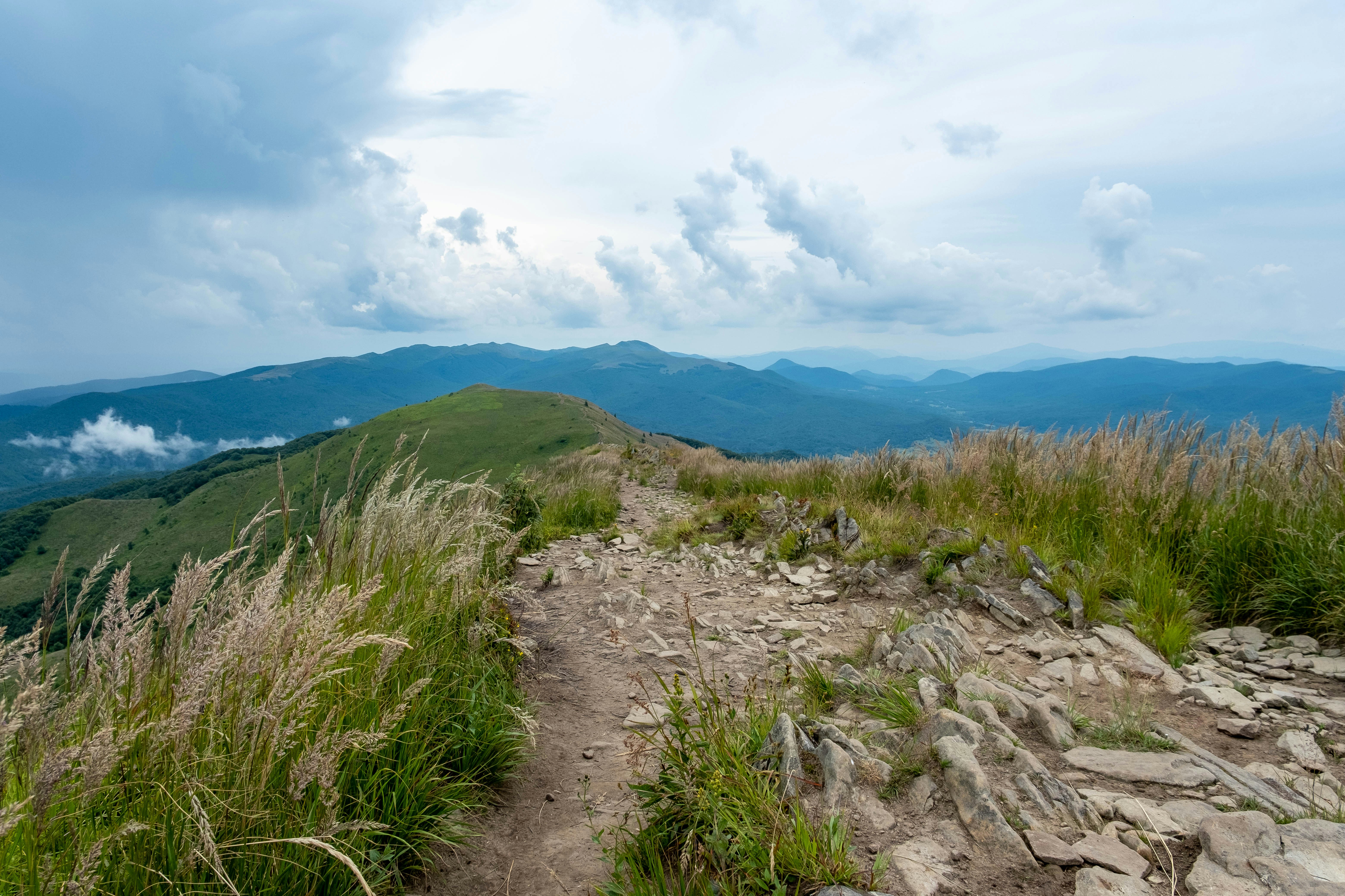 A rocky hiking trail through tall grass on a mountain ridge under cloudy skies