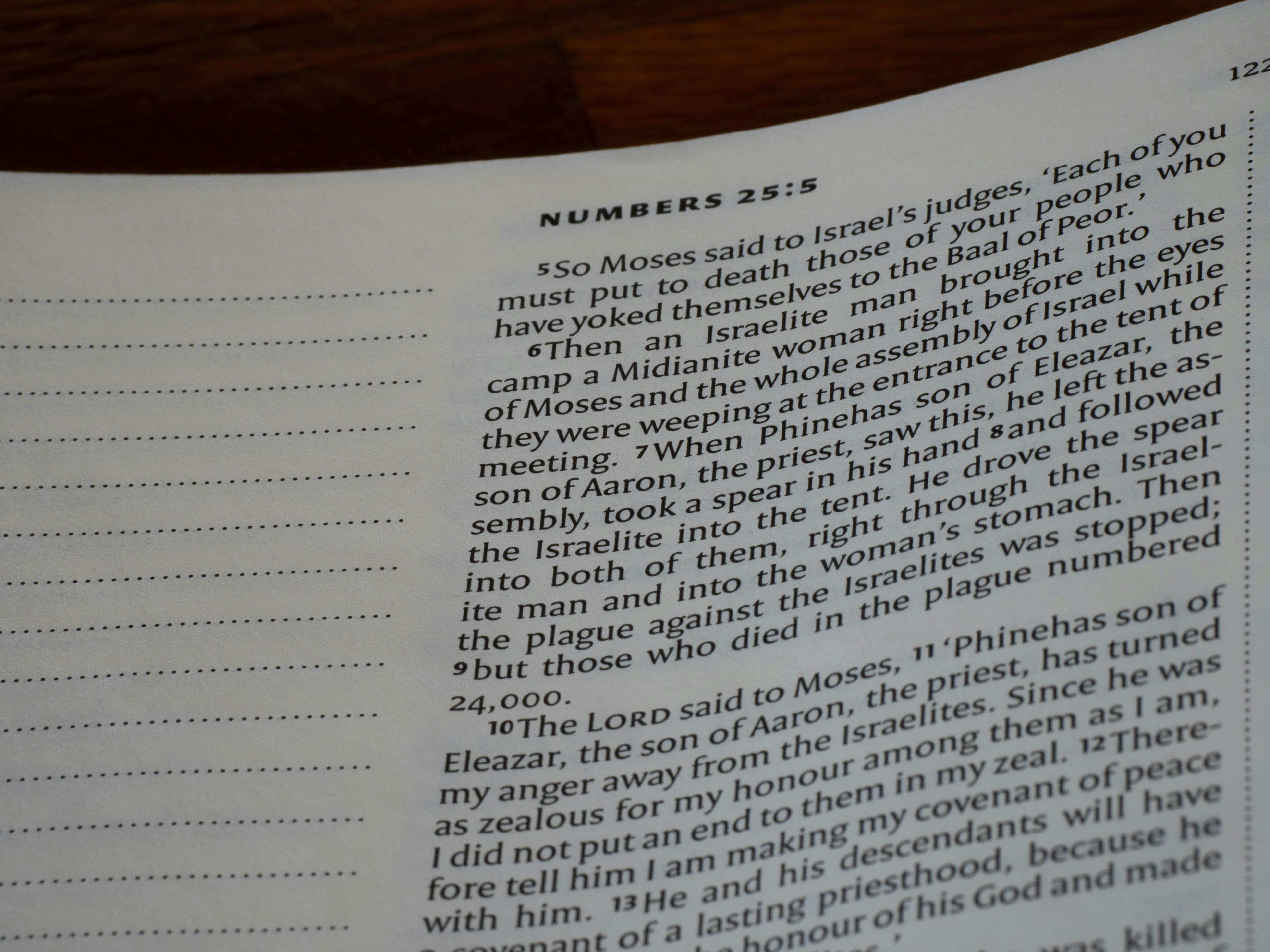 A page of a Bible showing the text of Numbers 25:5.