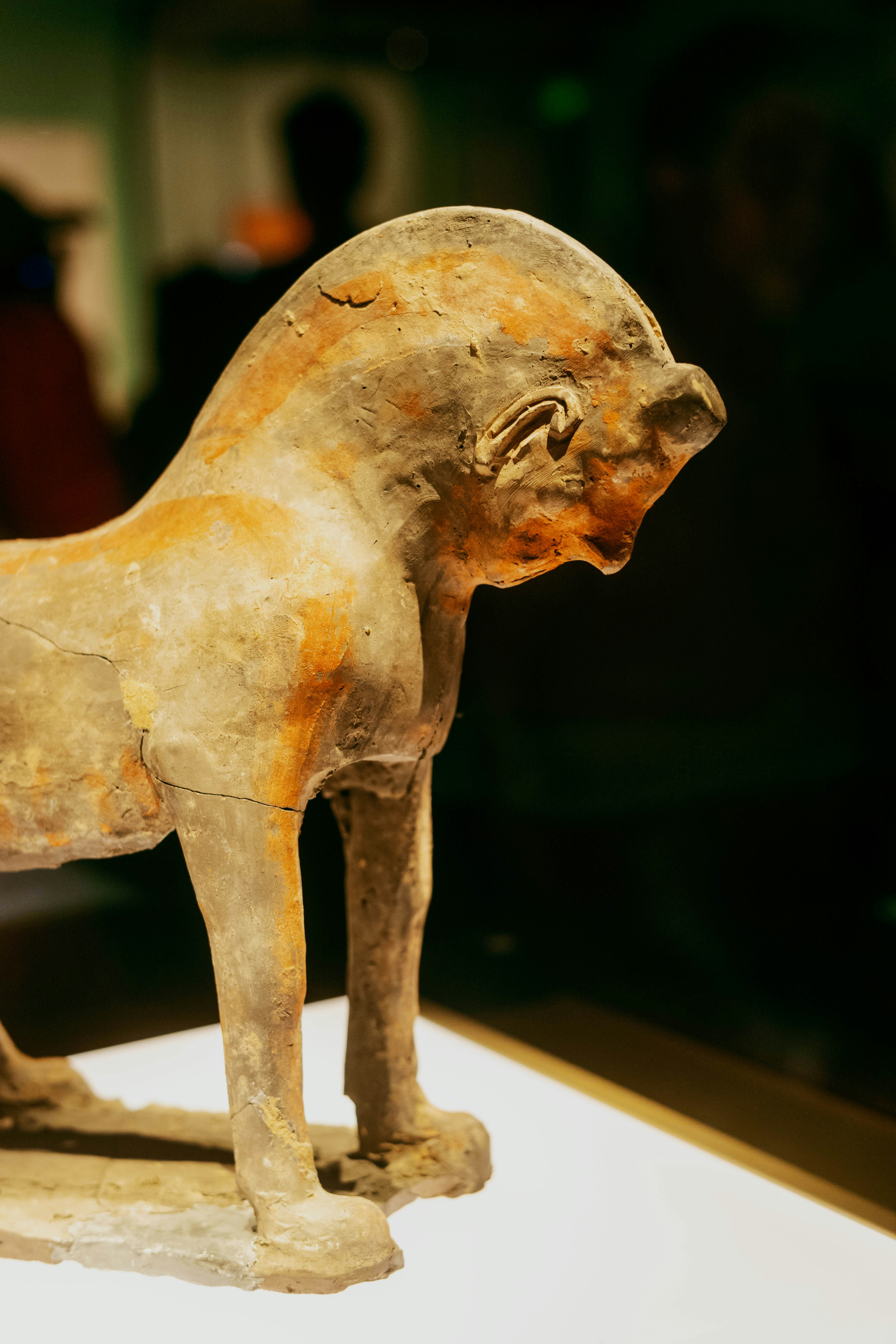 An ancient terracotta lion sculpture on a white display stand in a museum.