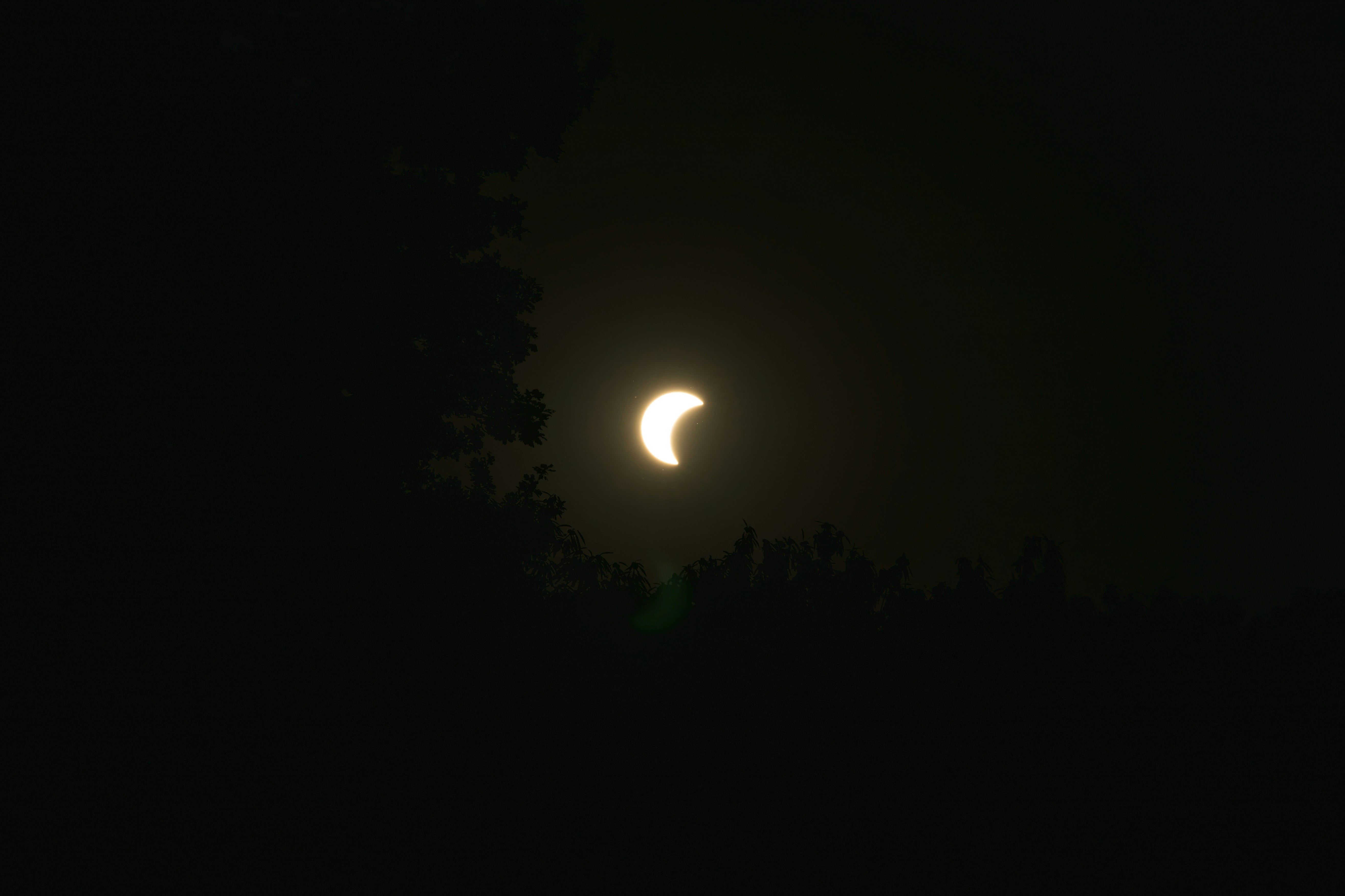 Um sol crescente parcialmente eclipsado pela lua atrás de silhuetas escuras de árvores.