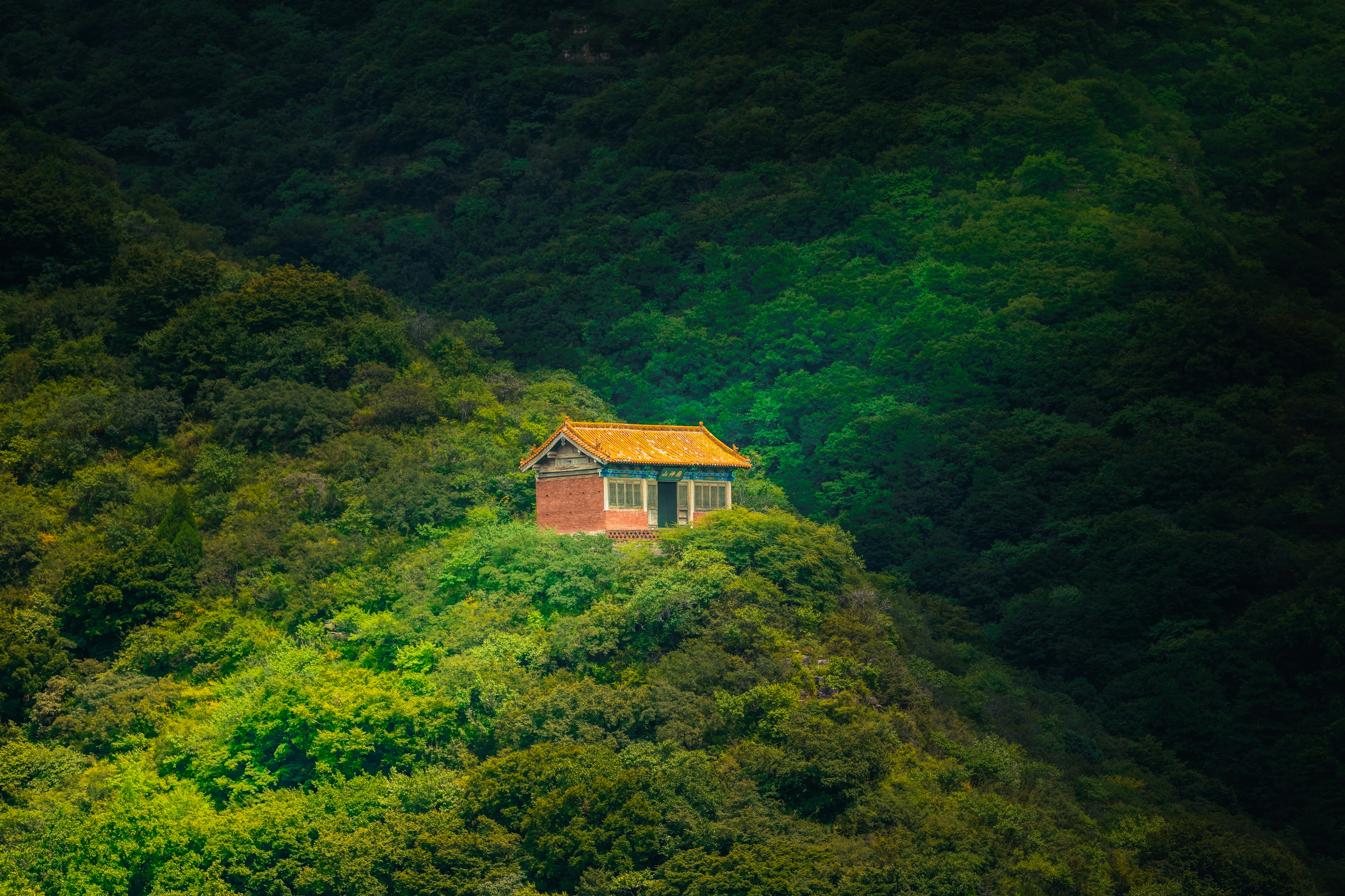 Un piccolo edificio con un tetto giallo su una collina boscosa e rigogliosa.
