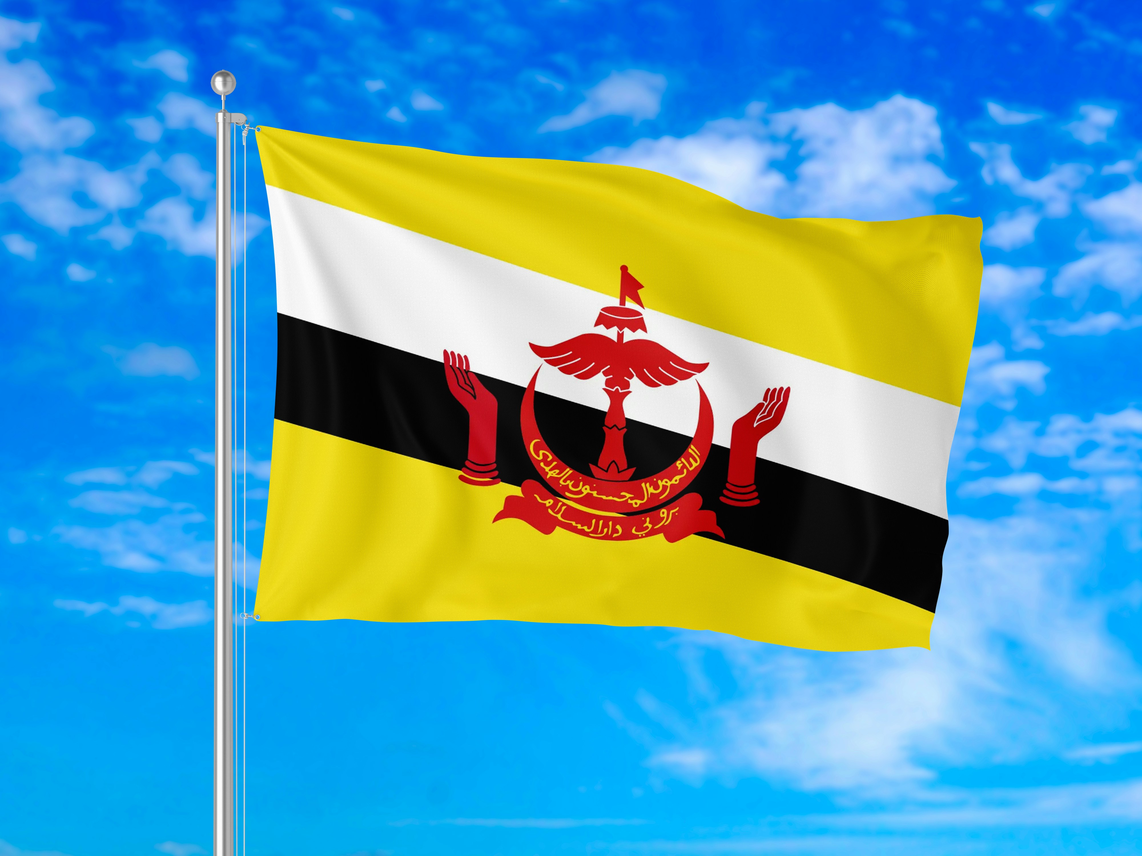 The national flag of Brunei with yellow, white, and black stripes against blue sky