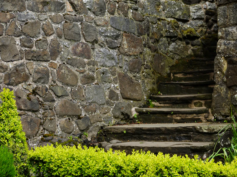 Rough stone steps climbing beside an old rock wall, edged with clipped green shrubs