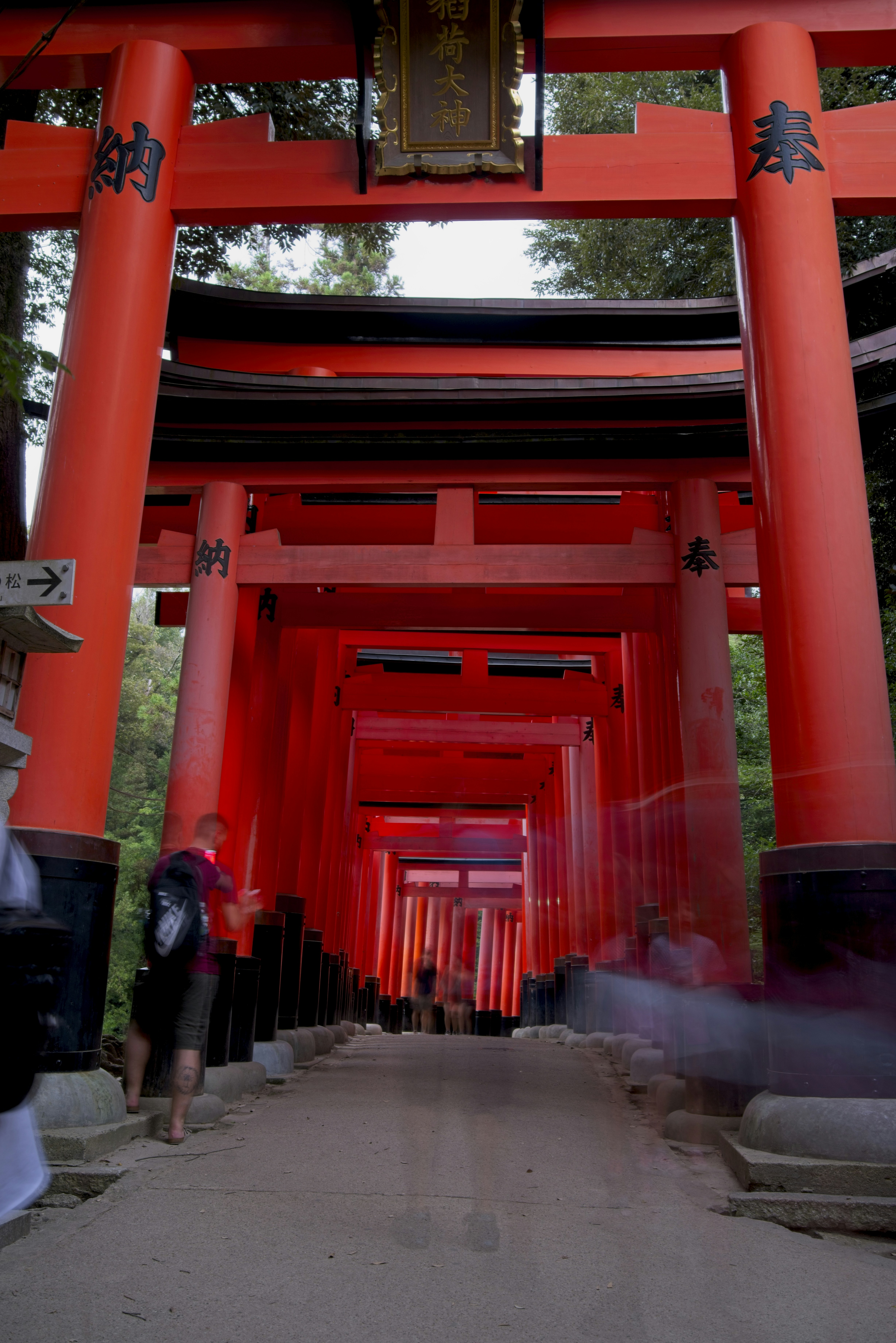 Una persona con mochila caminando por torii rojos brillantes en Kioto, Japón.