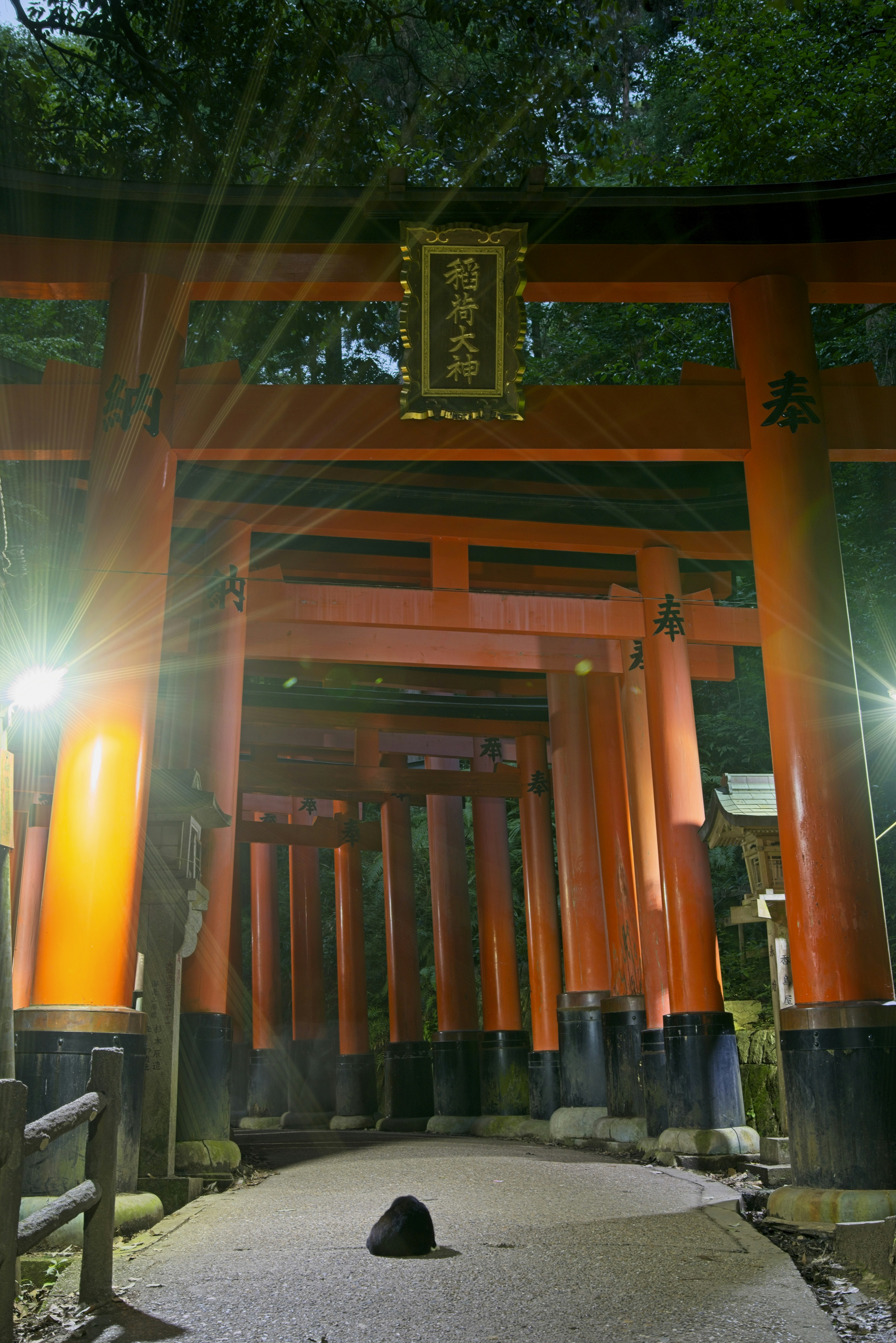 Un camino a través de torii naranja brillante en el Santuario Fushimi Inari en Kioto, Japón.