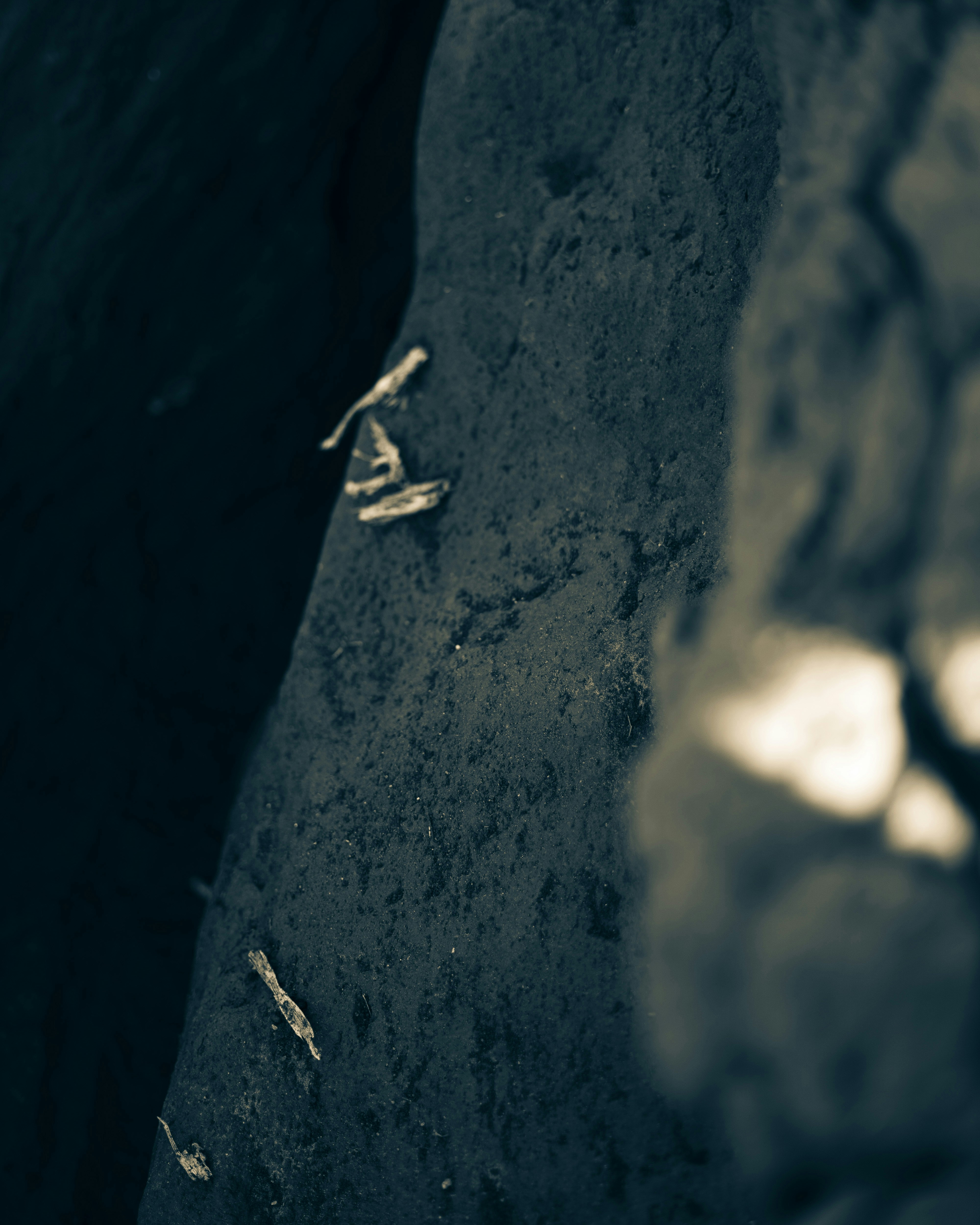 A dark, textured rock surface with small debris and soft, out-of-focus light