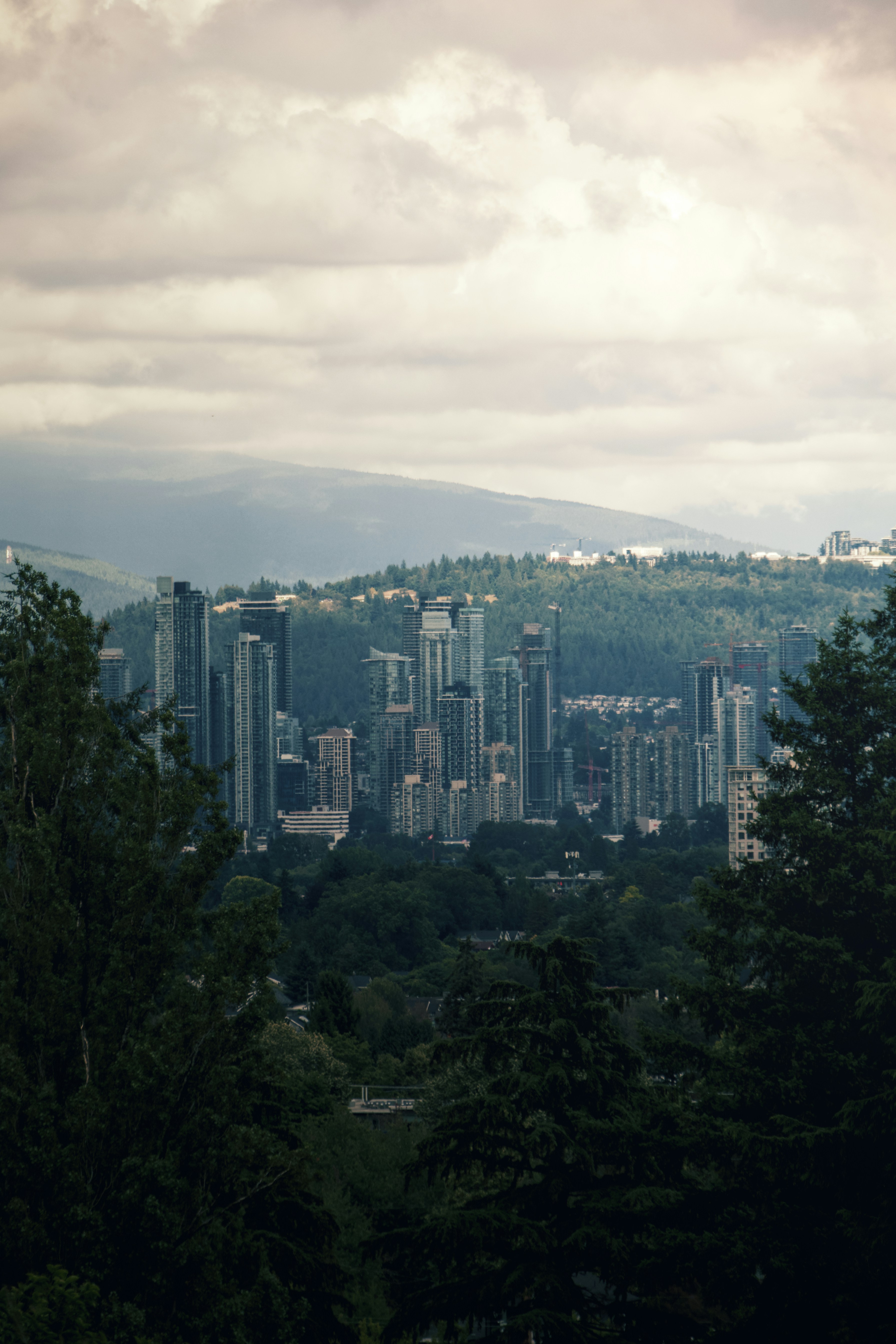 Des gratte-ciel s’élevant au-dessus d’une dense canopée forestière sous un ciel nuageux à Burnaby