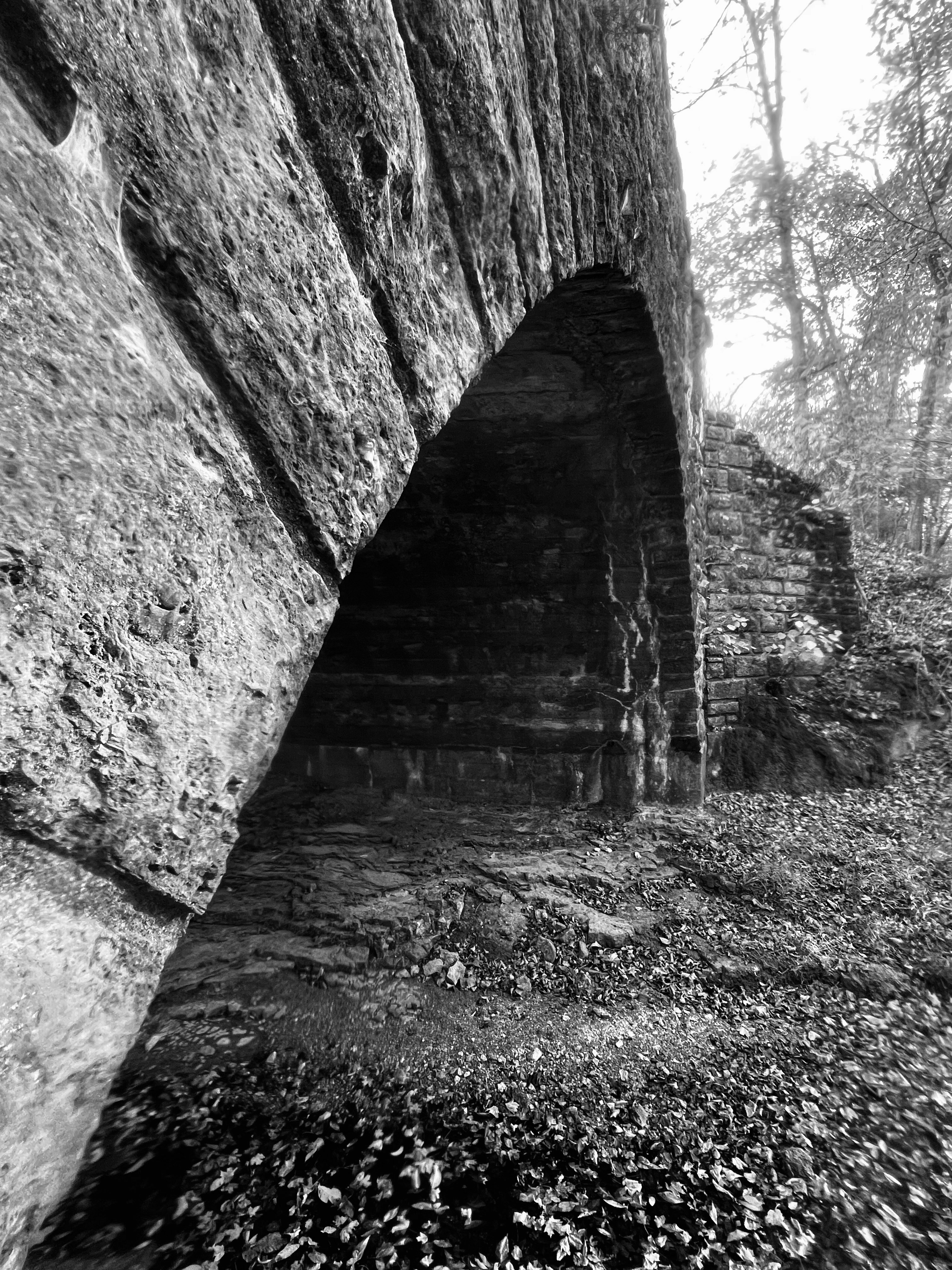 A stone archway in a forest with fallen leaves on the ground