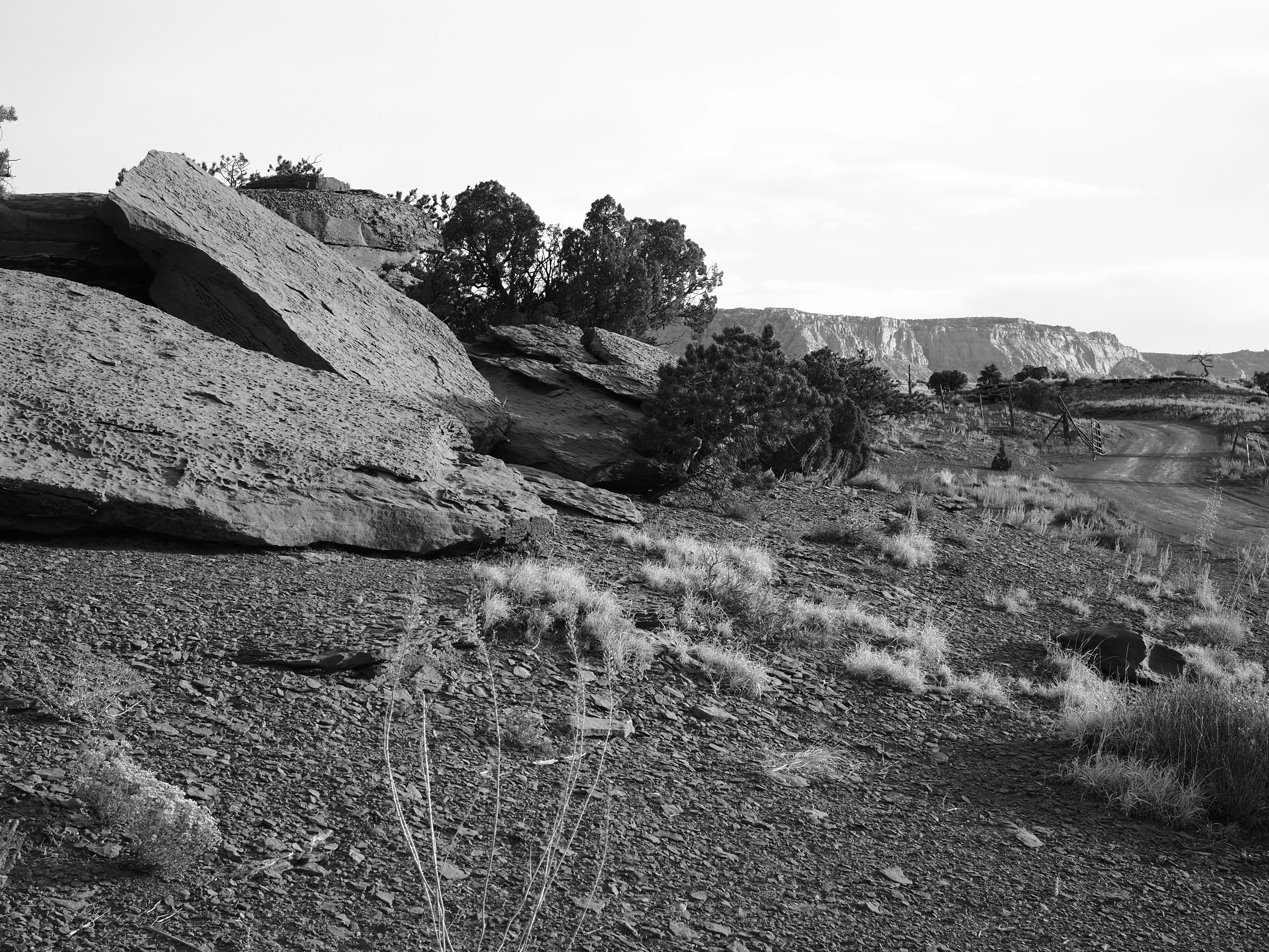 Large sandstone boulders on a rocky hillside with sparse vegetation and a dirt road