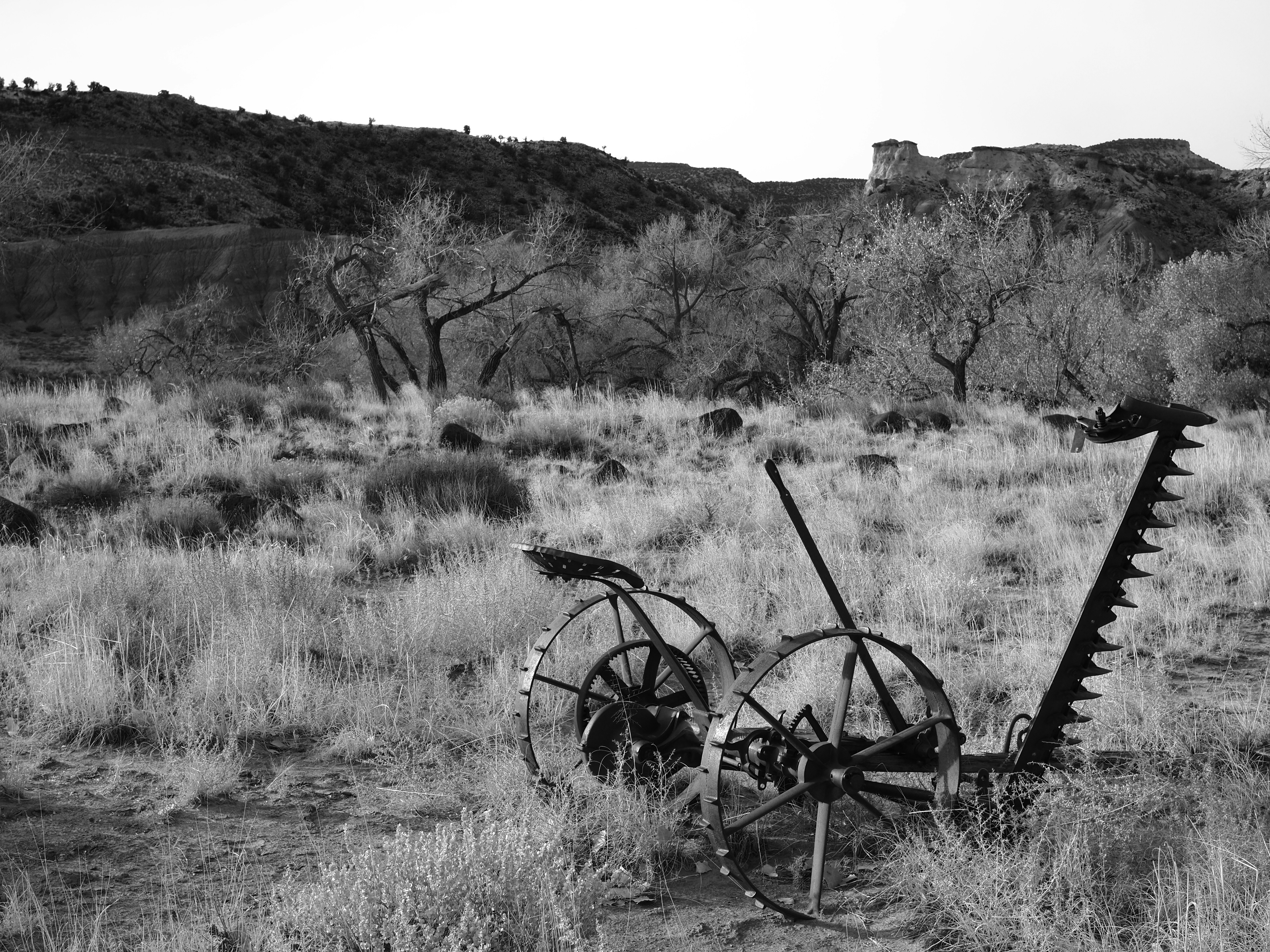 An antique horse-drawn sickle mower in a dry field with bare trees