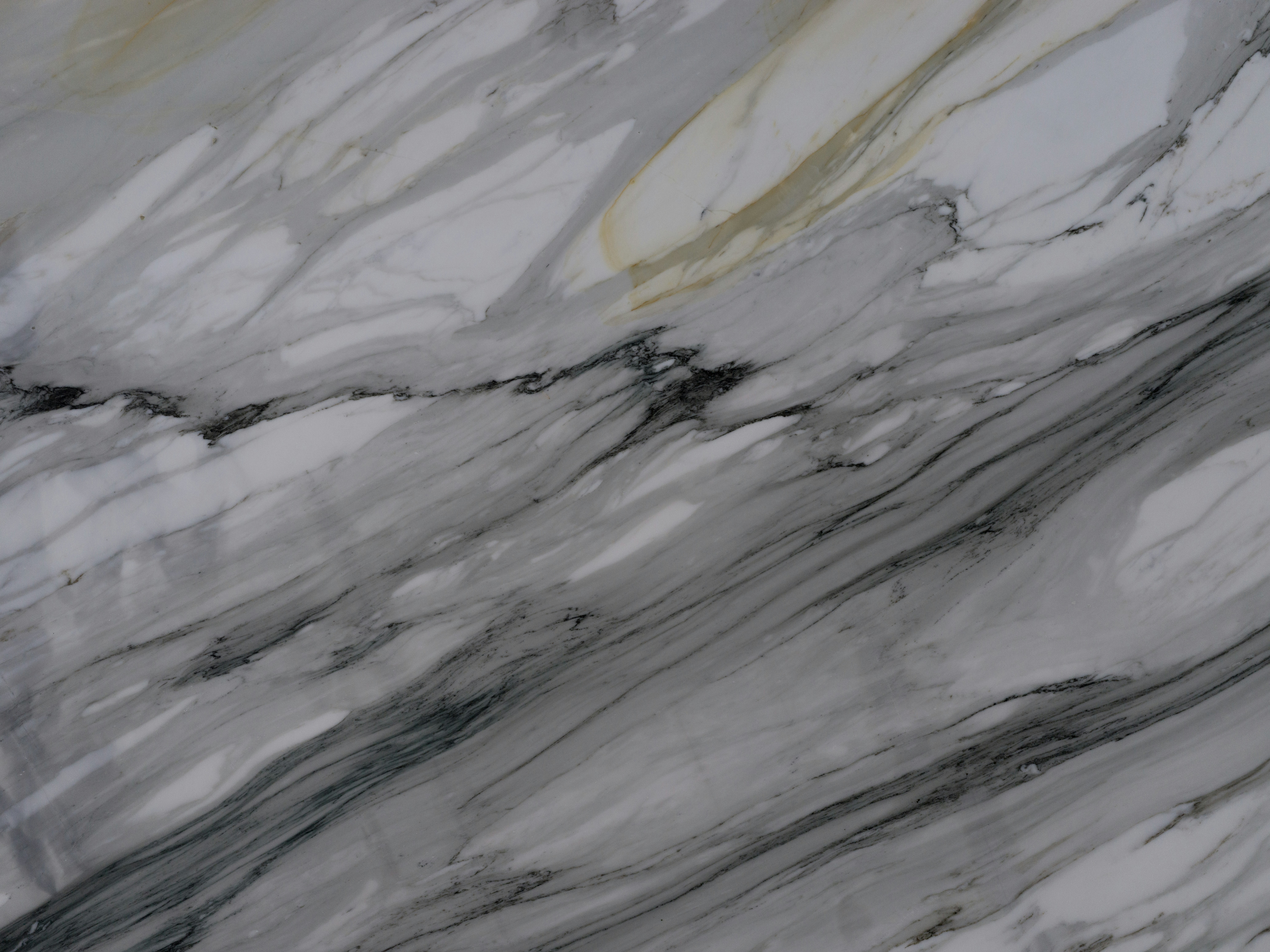 White marble slab with grey veining and subtle golden streaks