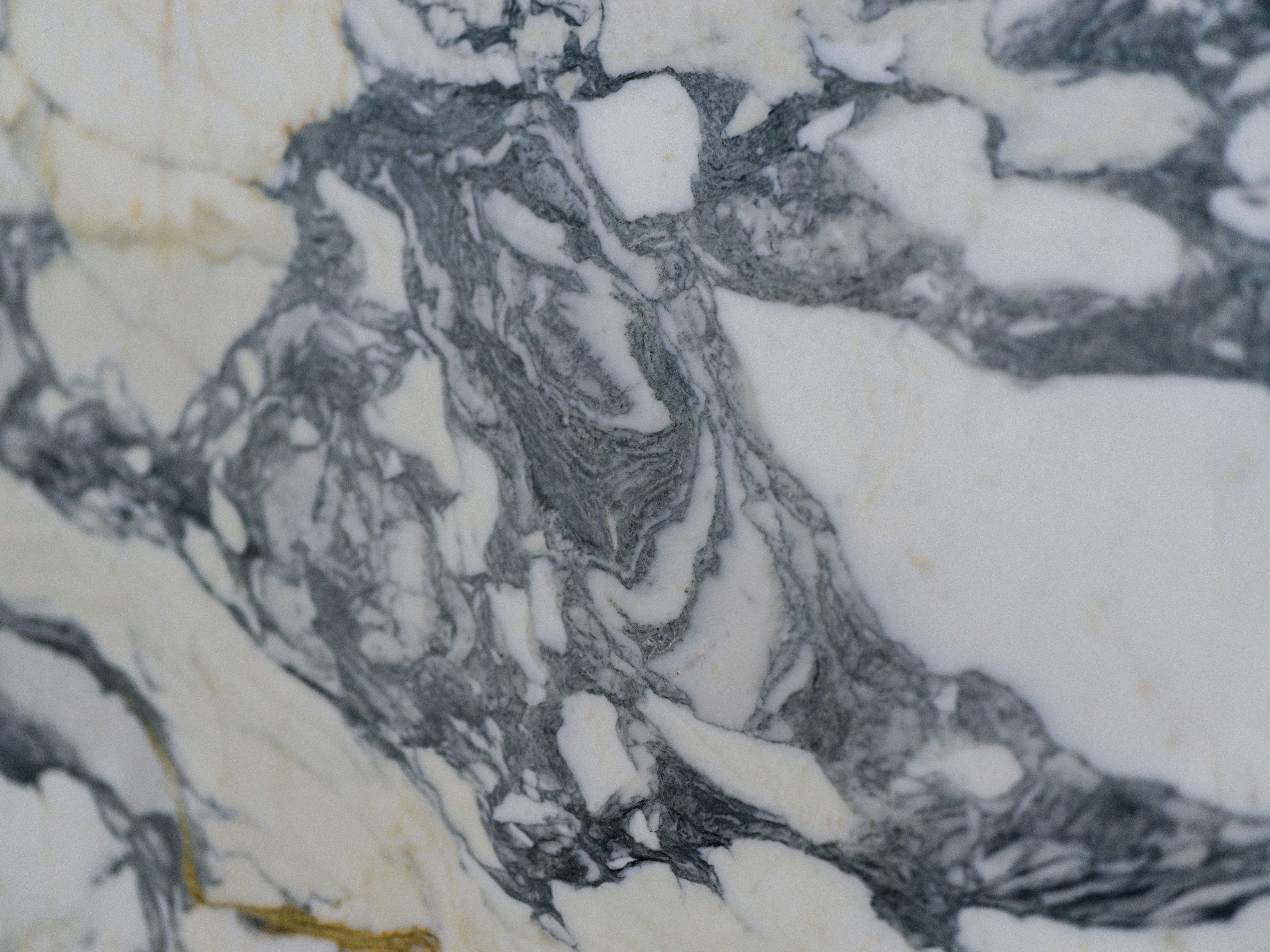 A polished marble slab with swirling white, grey, and gold veins