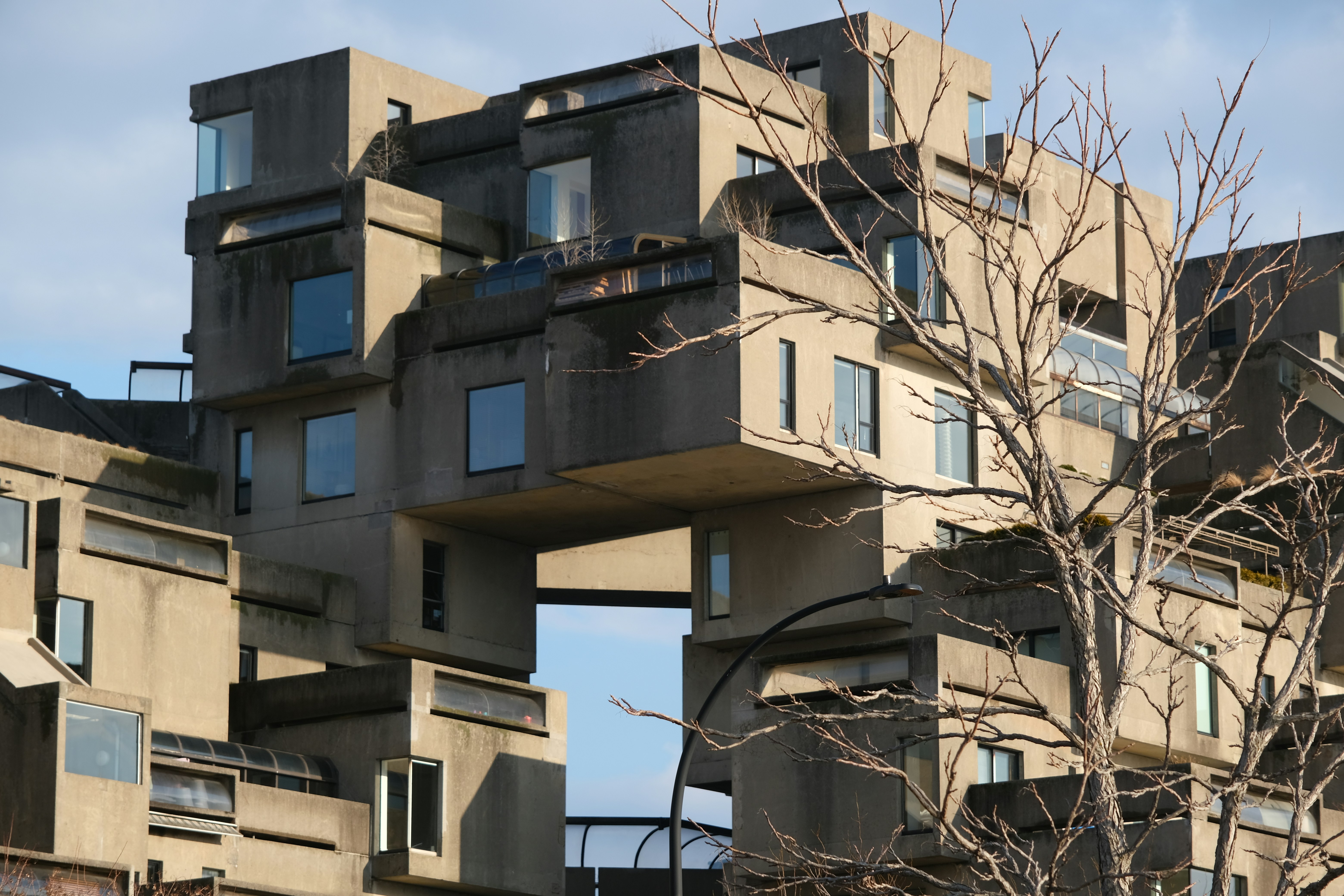 Brutalist concrete apartment complex with stacked modular units and a bare tree