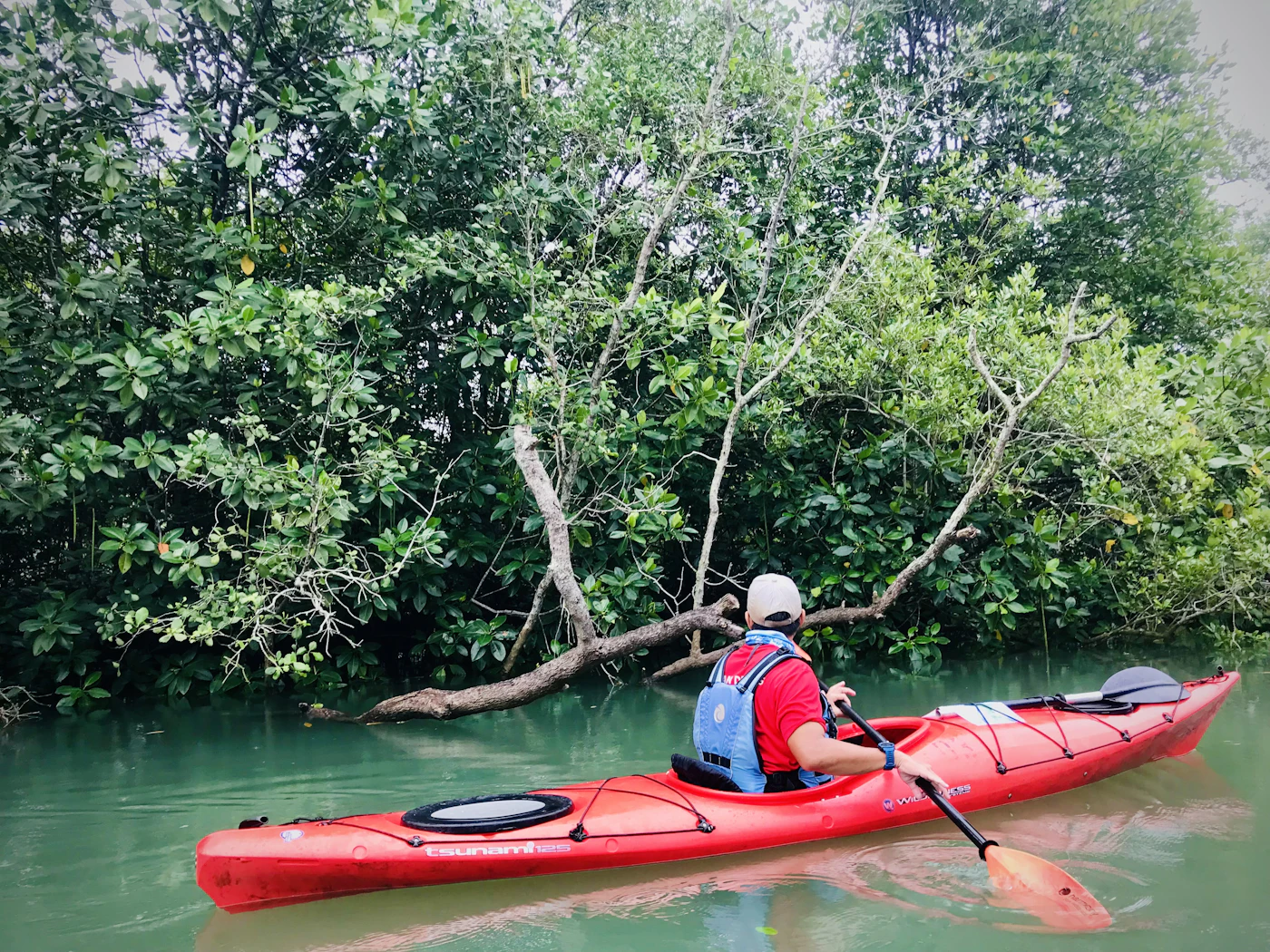 A man paddles a kayak through a mangrove channel, the kind of quiet morning the Oleta River is known for.