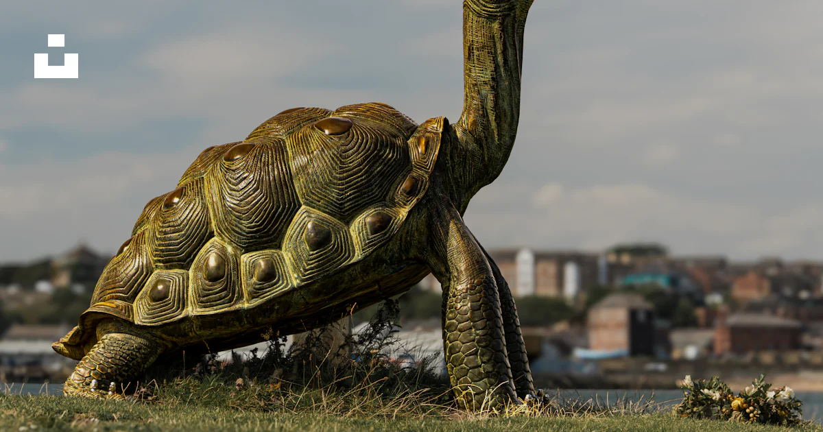 Normal Green Turtle Bronze tortoise sculpture on grassy hill - Free Photo on Unsplash