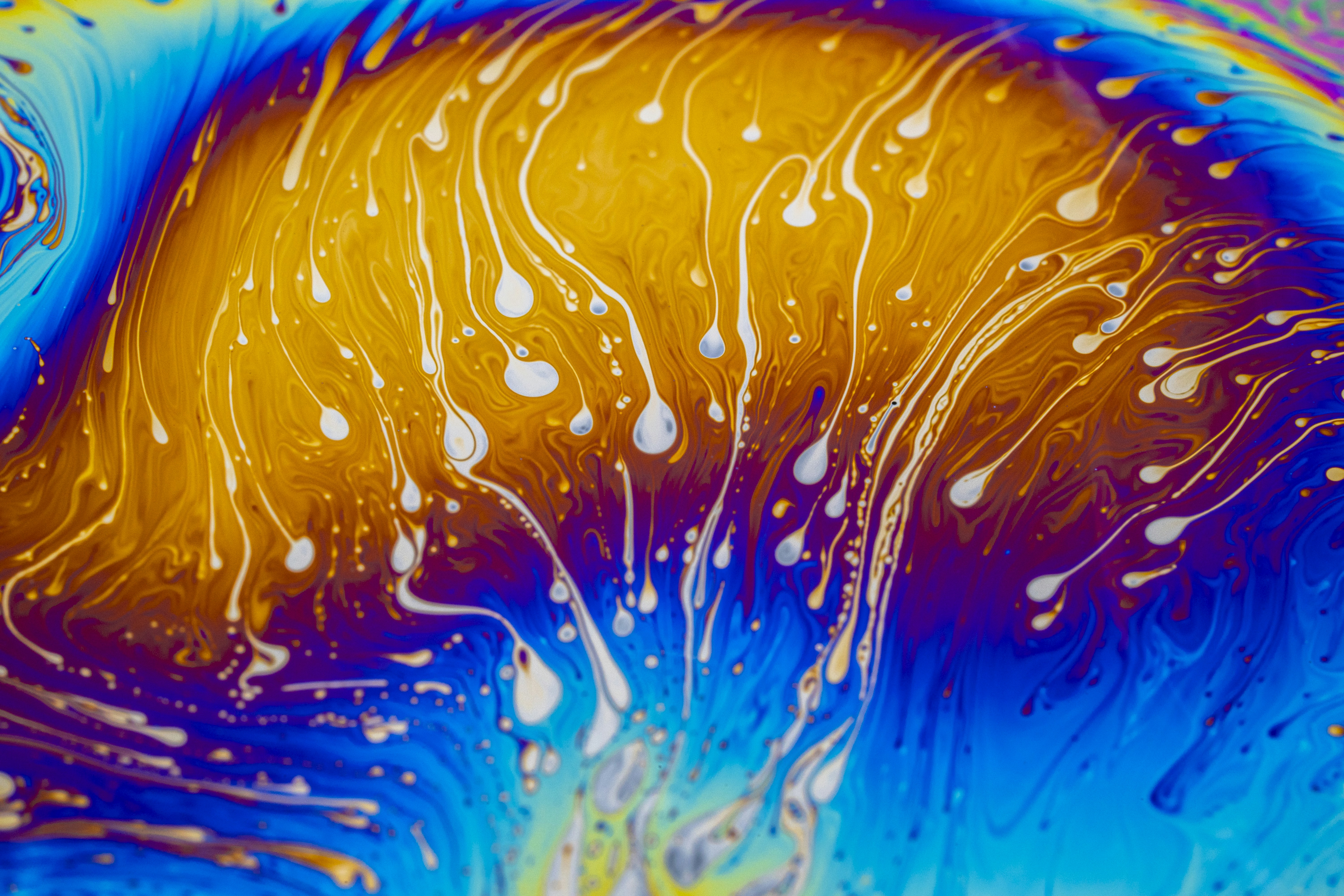 Ocean of Colors .11