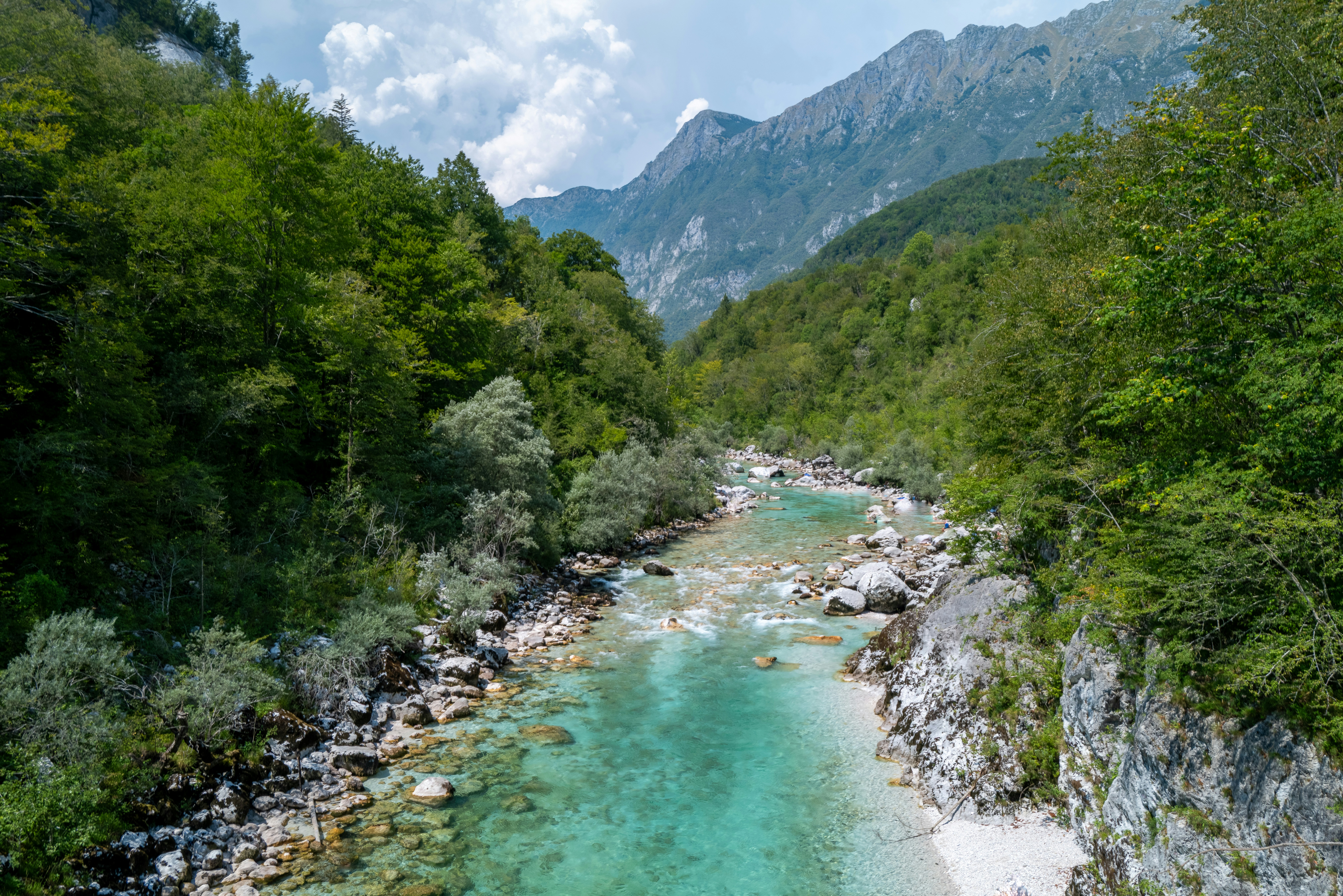 A turquoise river flowing through a rocky valley surrounded by dense green forest