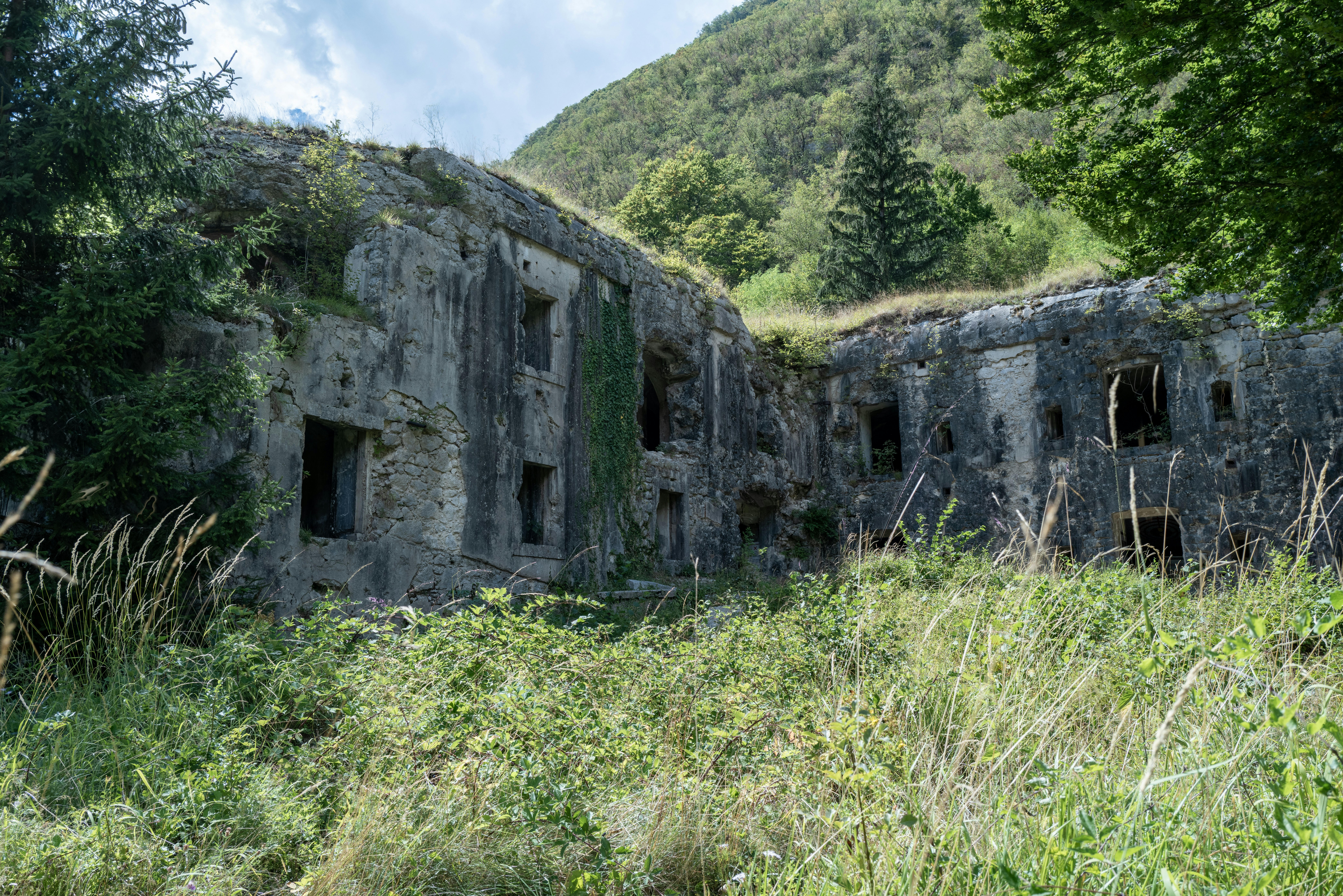 Ruinen der steinernen Festungsmauern, überwuchert von Ranken in einem üppig grünen Bergwald