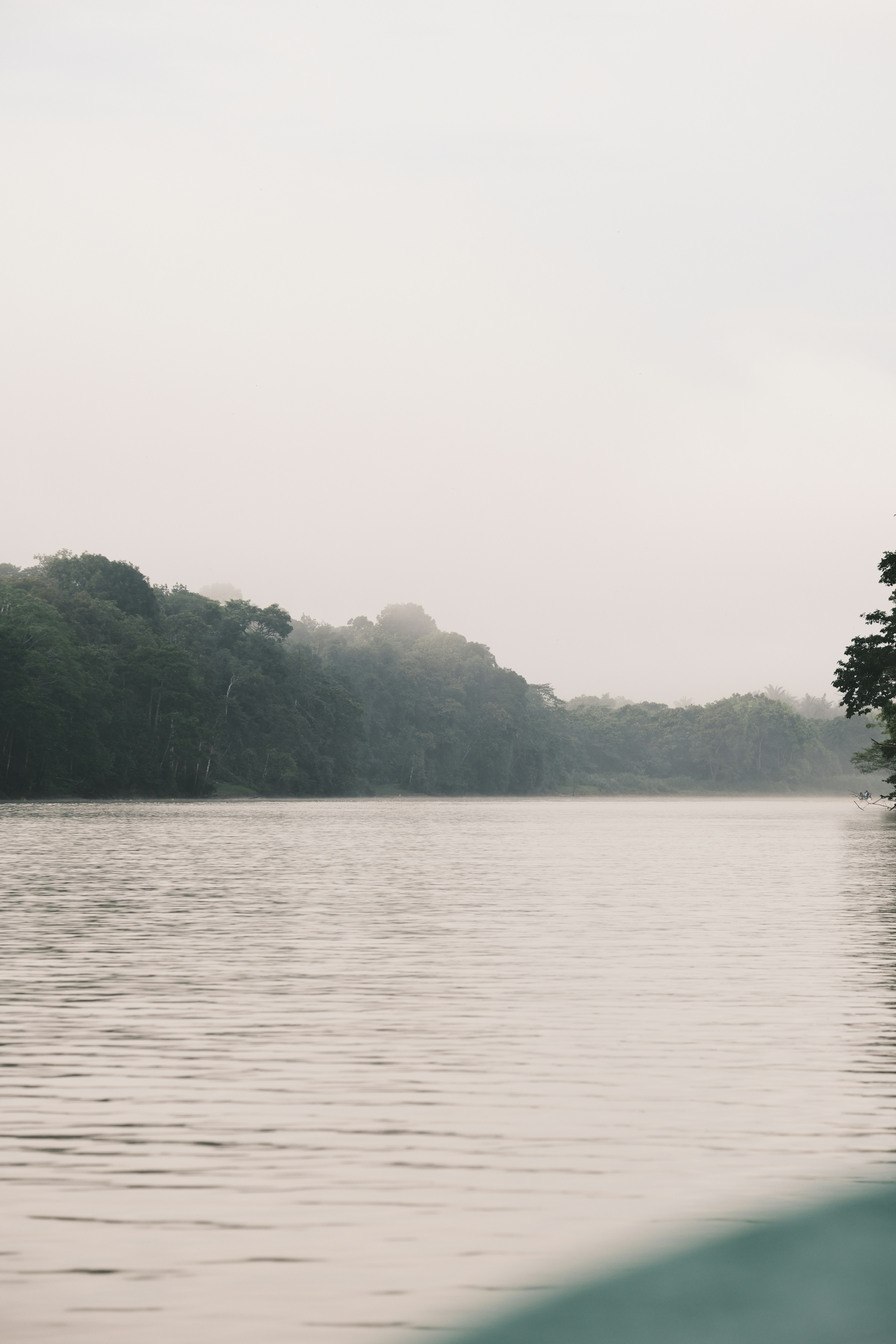 Borneo rainforest river, wallpaper, Taktik Perang Kalimantan Selatan: Sejarah Perjuangan dan Strategi 1
