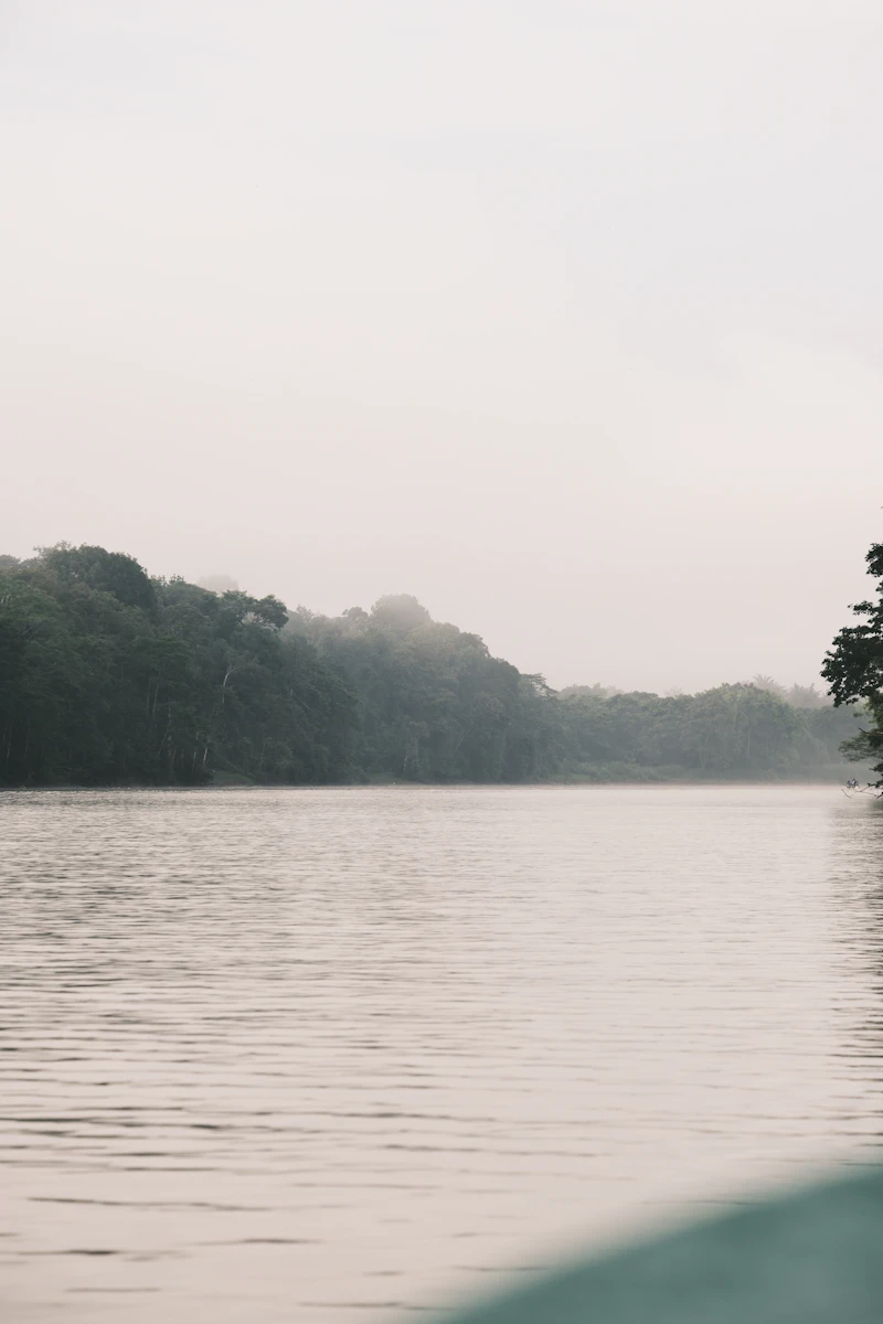 Kinabatangan River
