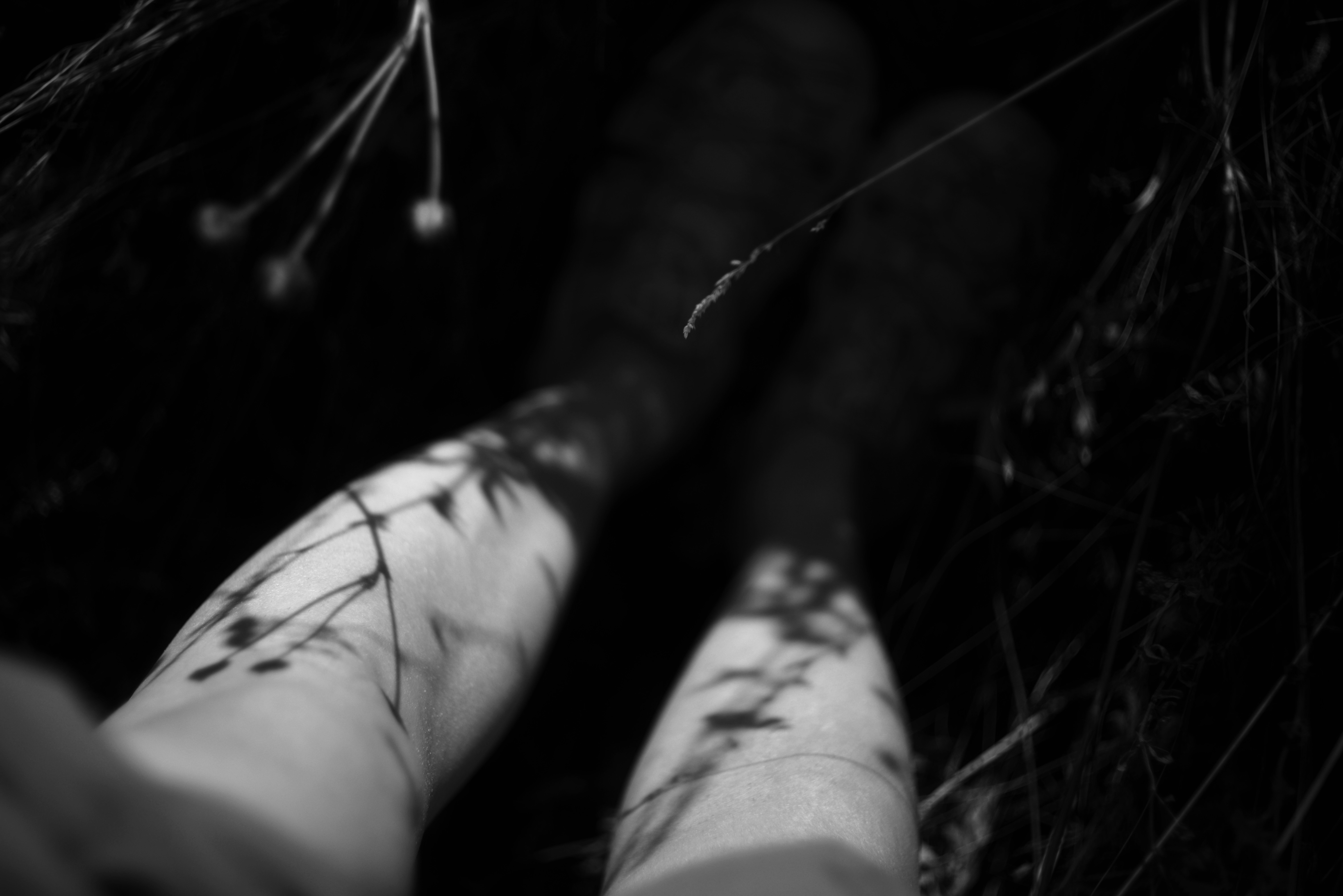 A person's legs in tall grass with dappled shadows cast by foliage