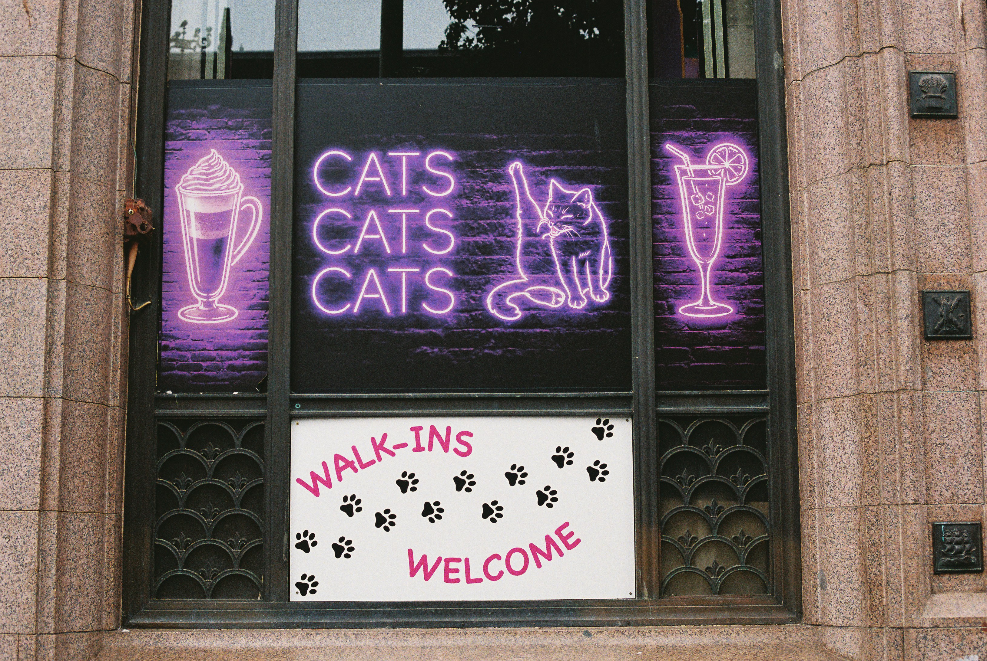 A window display with purple neon signs of a cat and drinks above paw prints