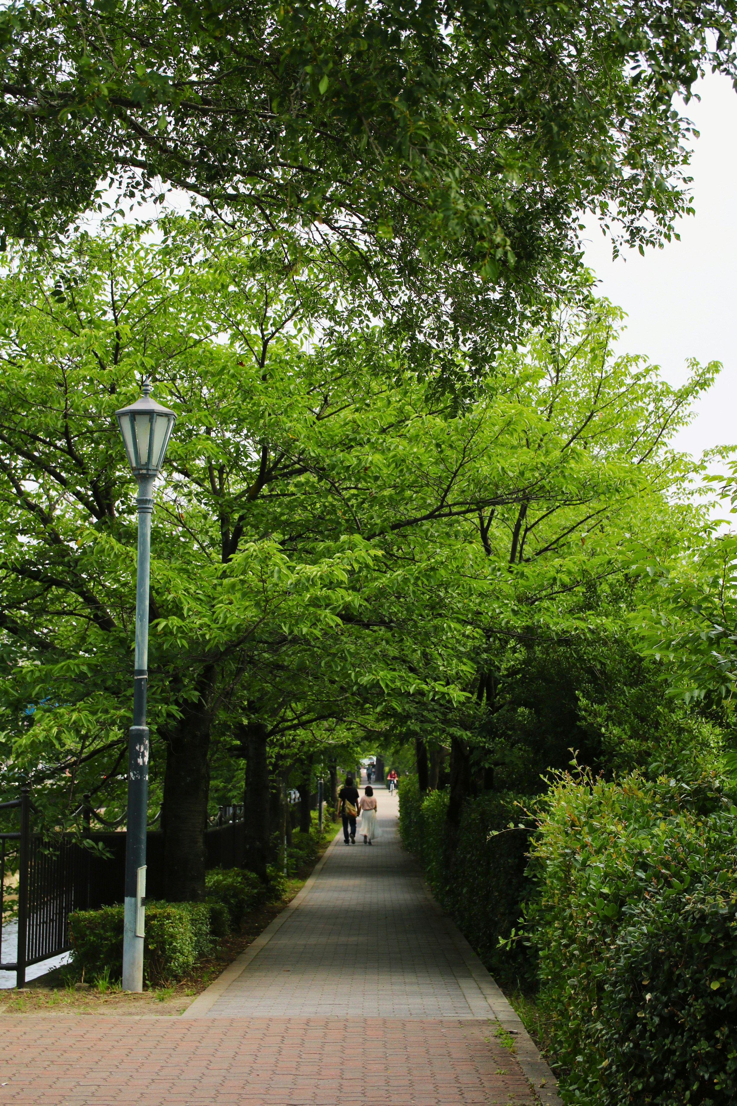 Two people walking along a paved path shaded by lush green trees