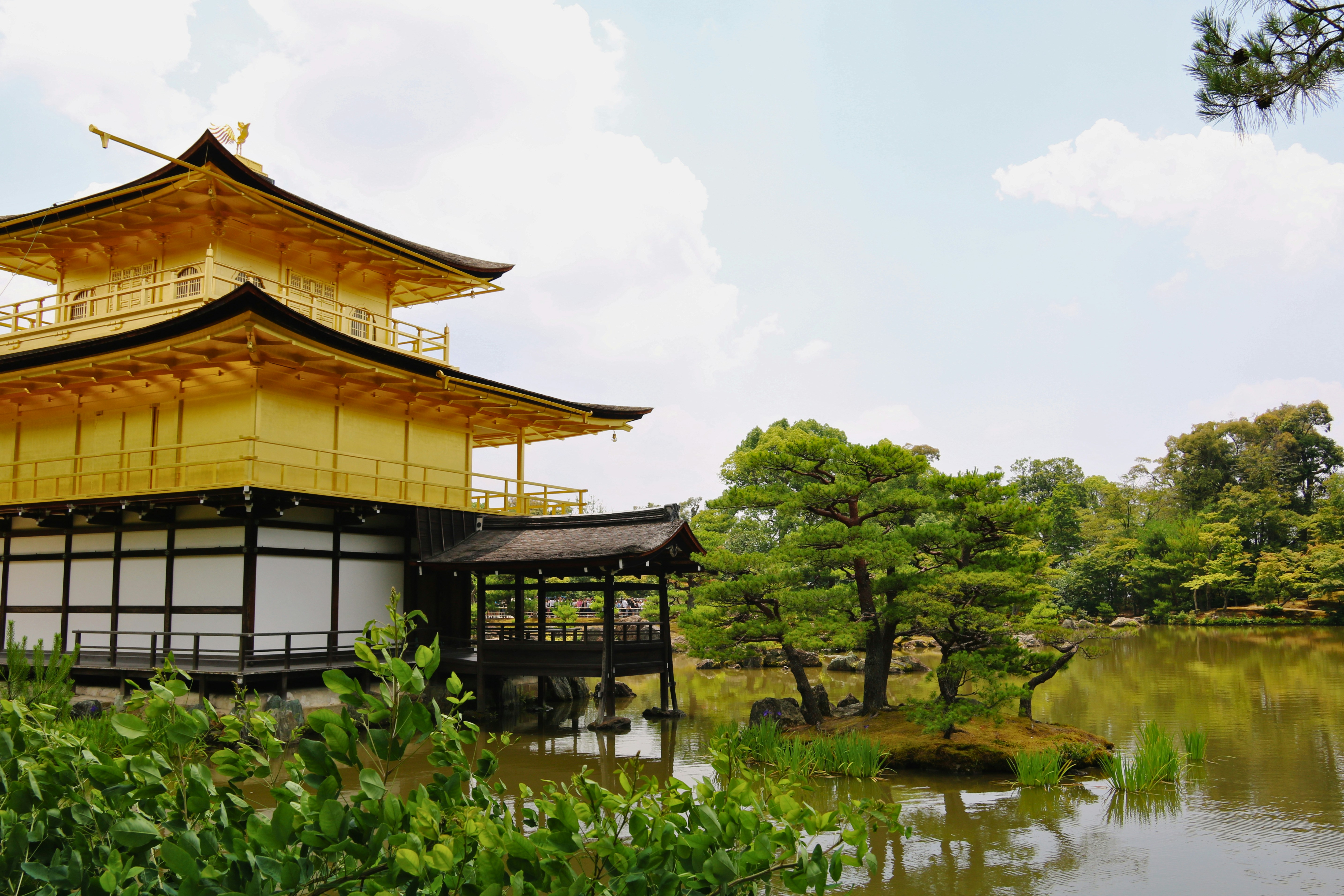 The Kinkaku-ji golden pavilion beside a pond with a small island in Kyoto