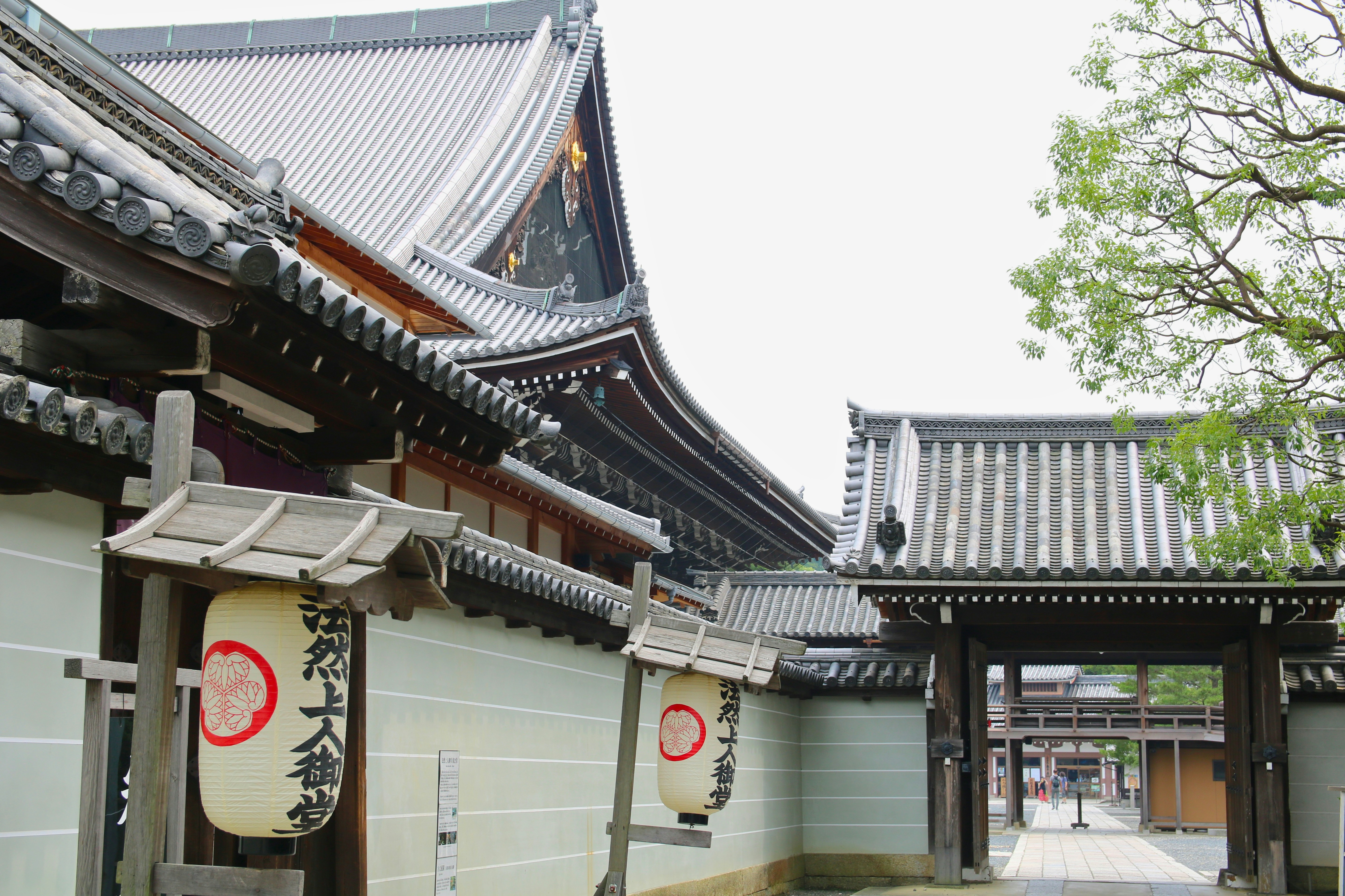 Traditional Japanese temple buildings with tiled roofs and paper lanterns in a courtyard