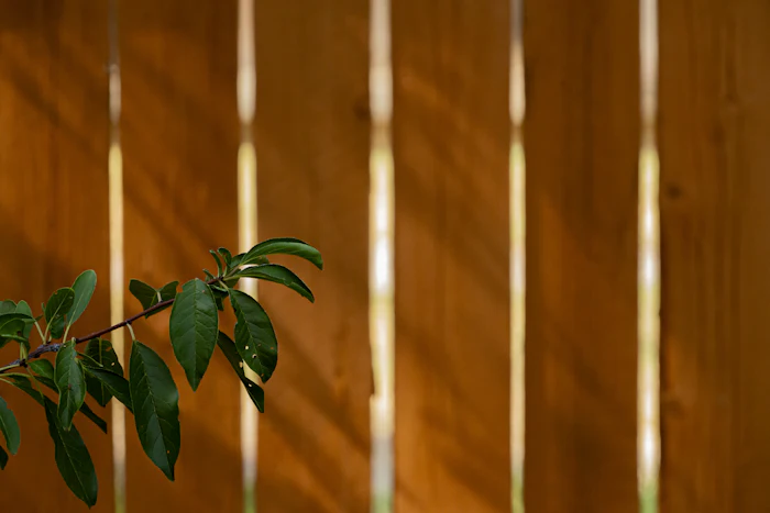 Warm stained vertical fence boards with a green leafy branch