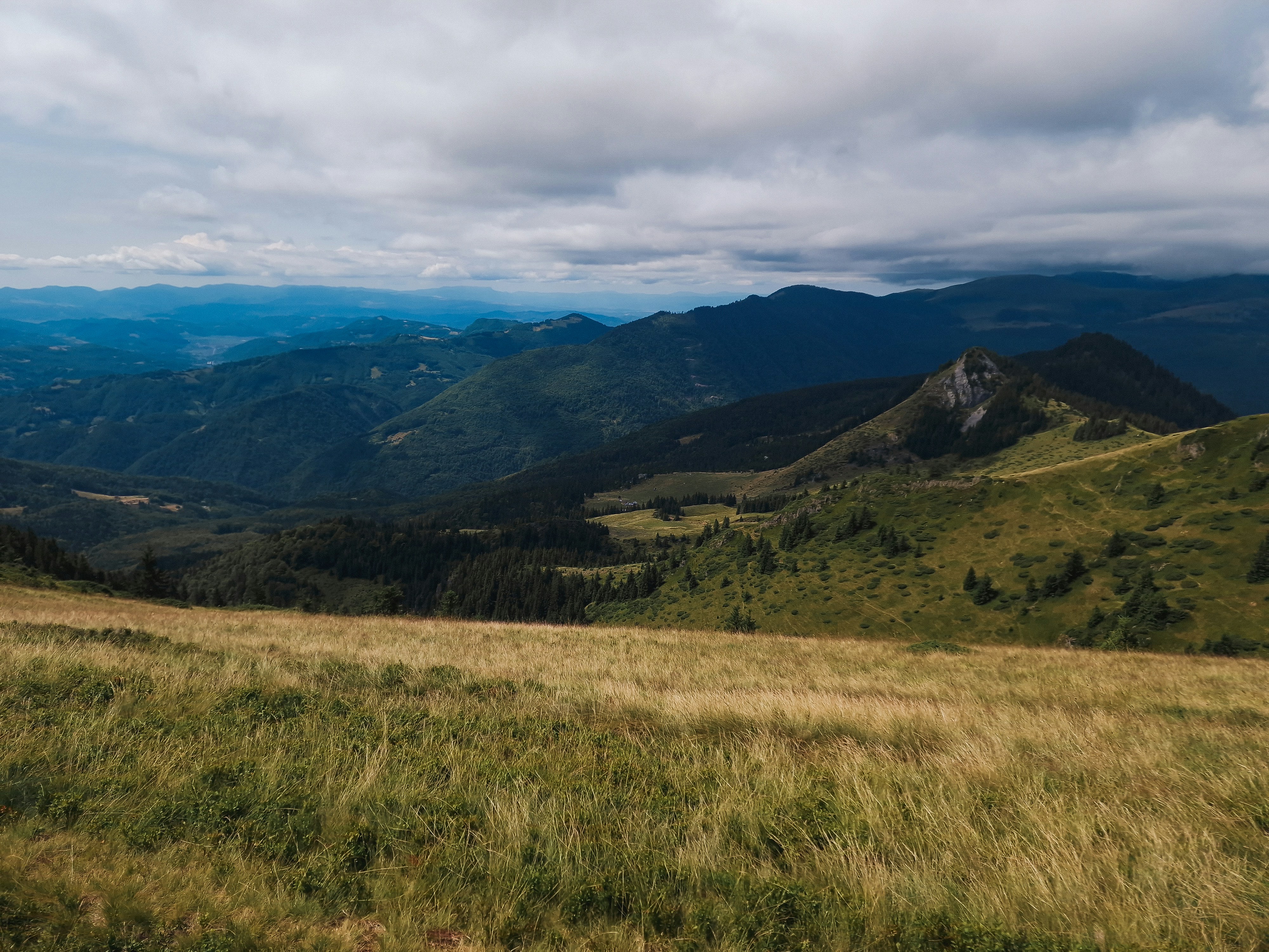 Mountain slope overlooking forested valley - Free Photo on Unsplash