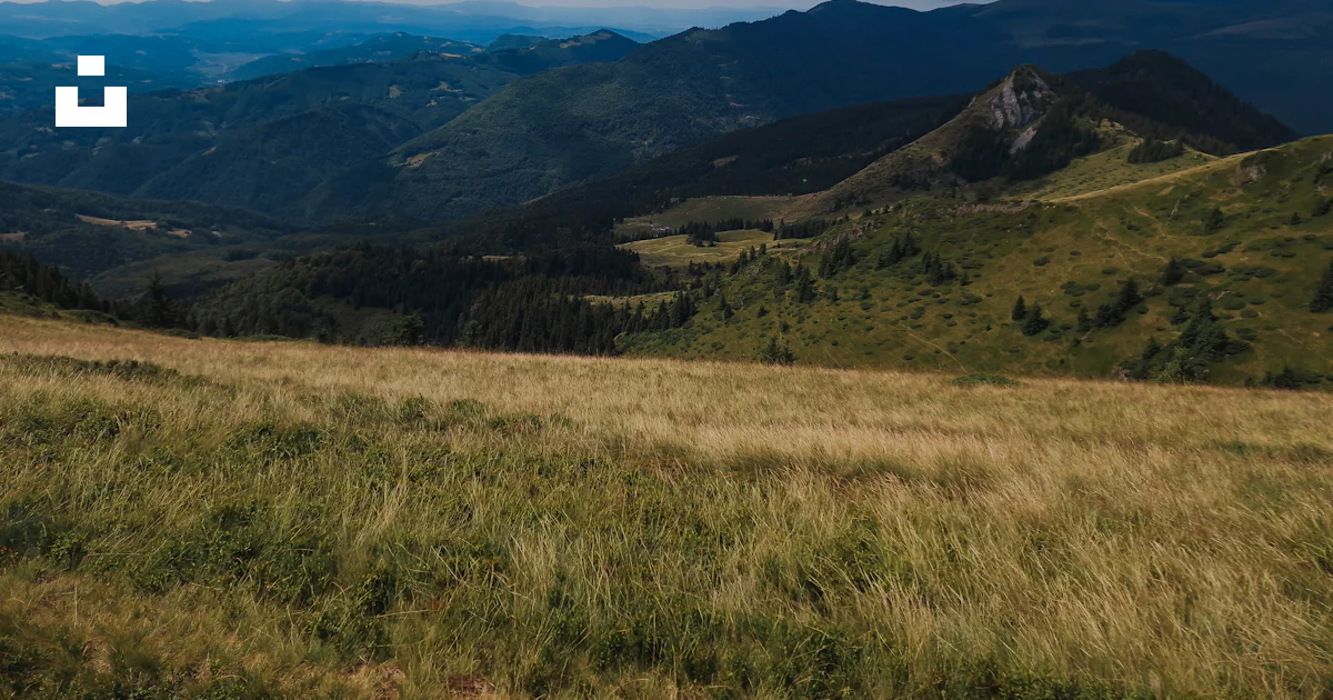 Sloping Icon Mountain slope overlooking forested valley - Free Photo on Unsplash