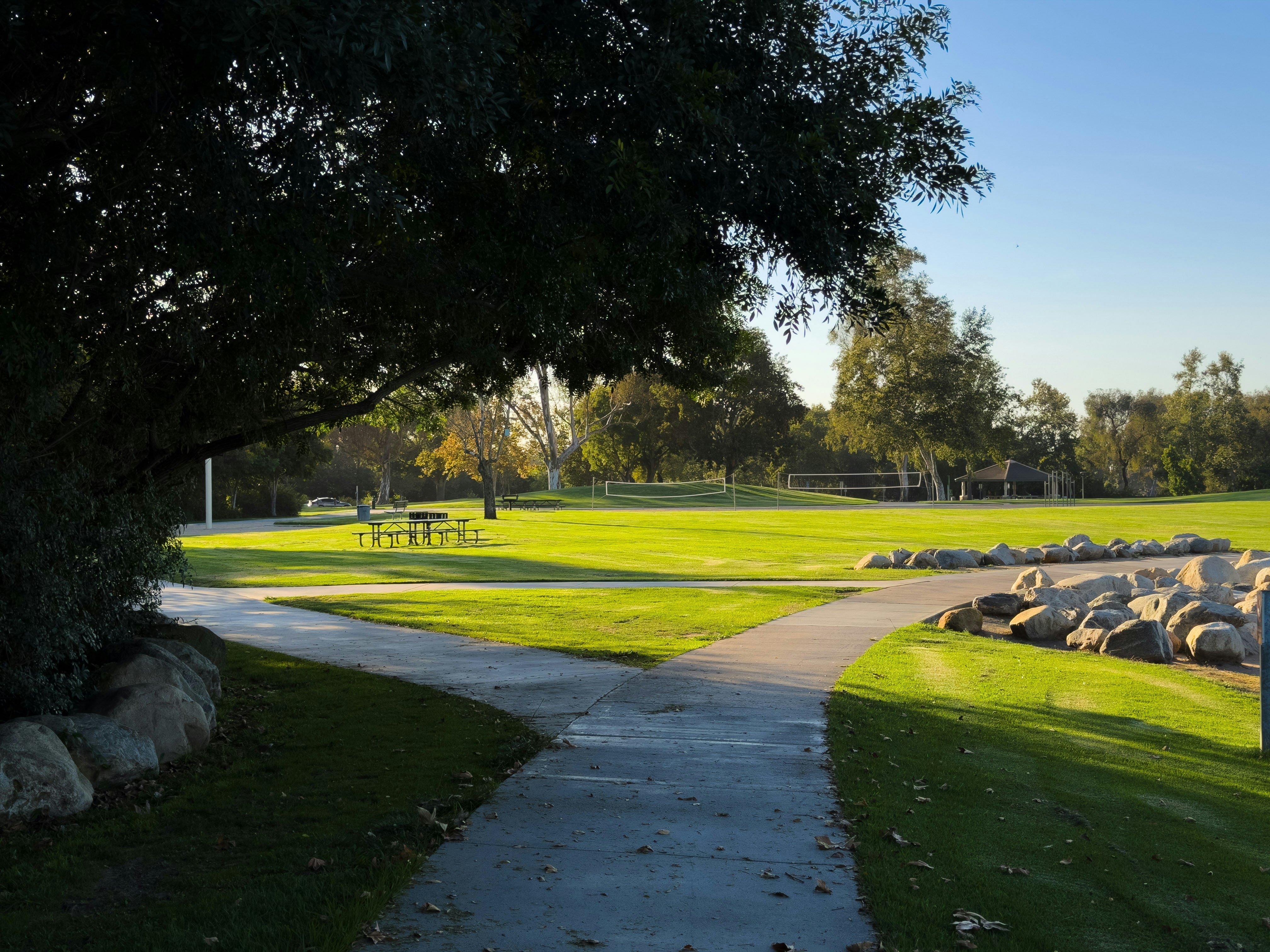 Concrete path winding through a green park