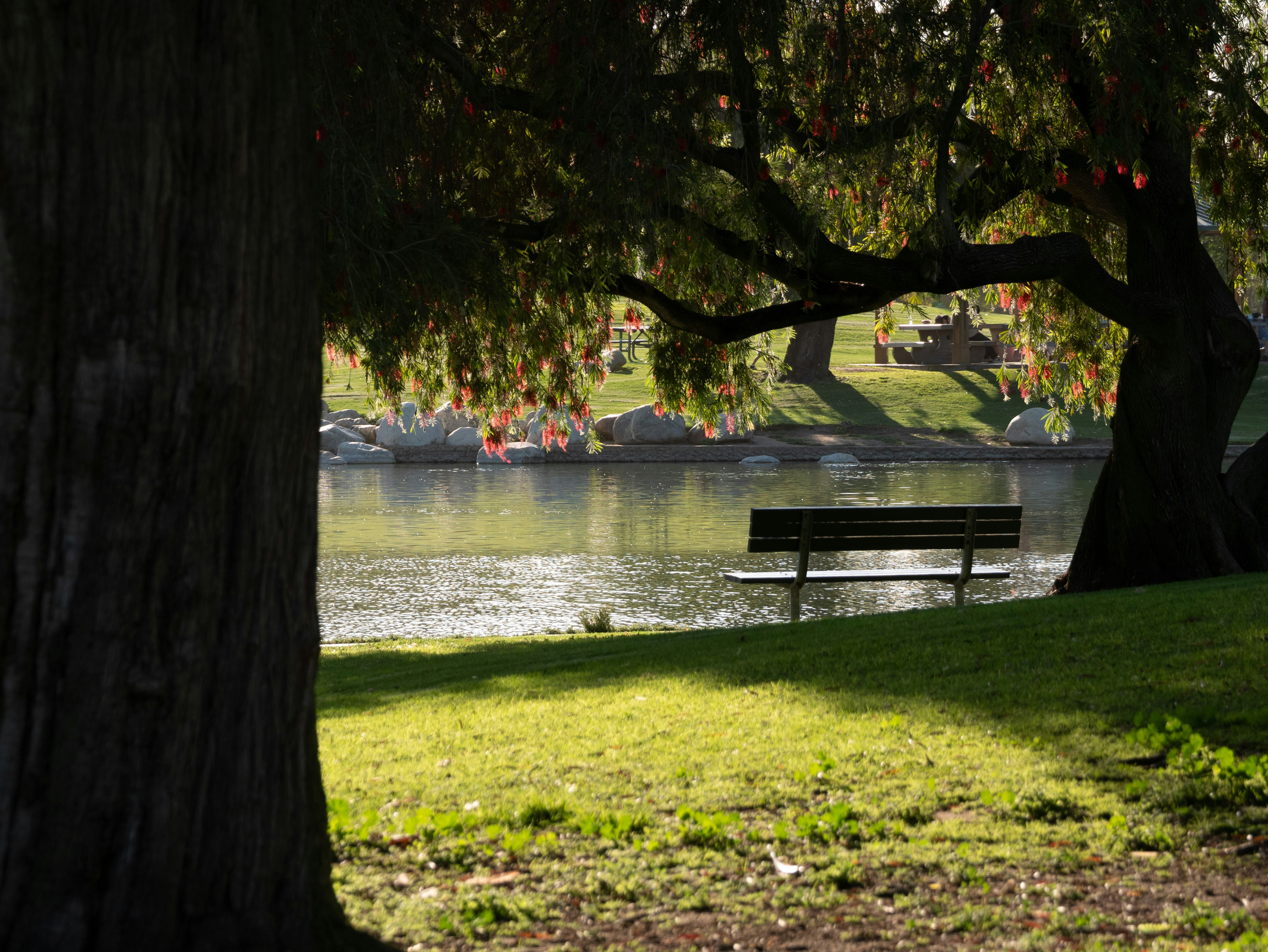 Bench on a grassy bank by water