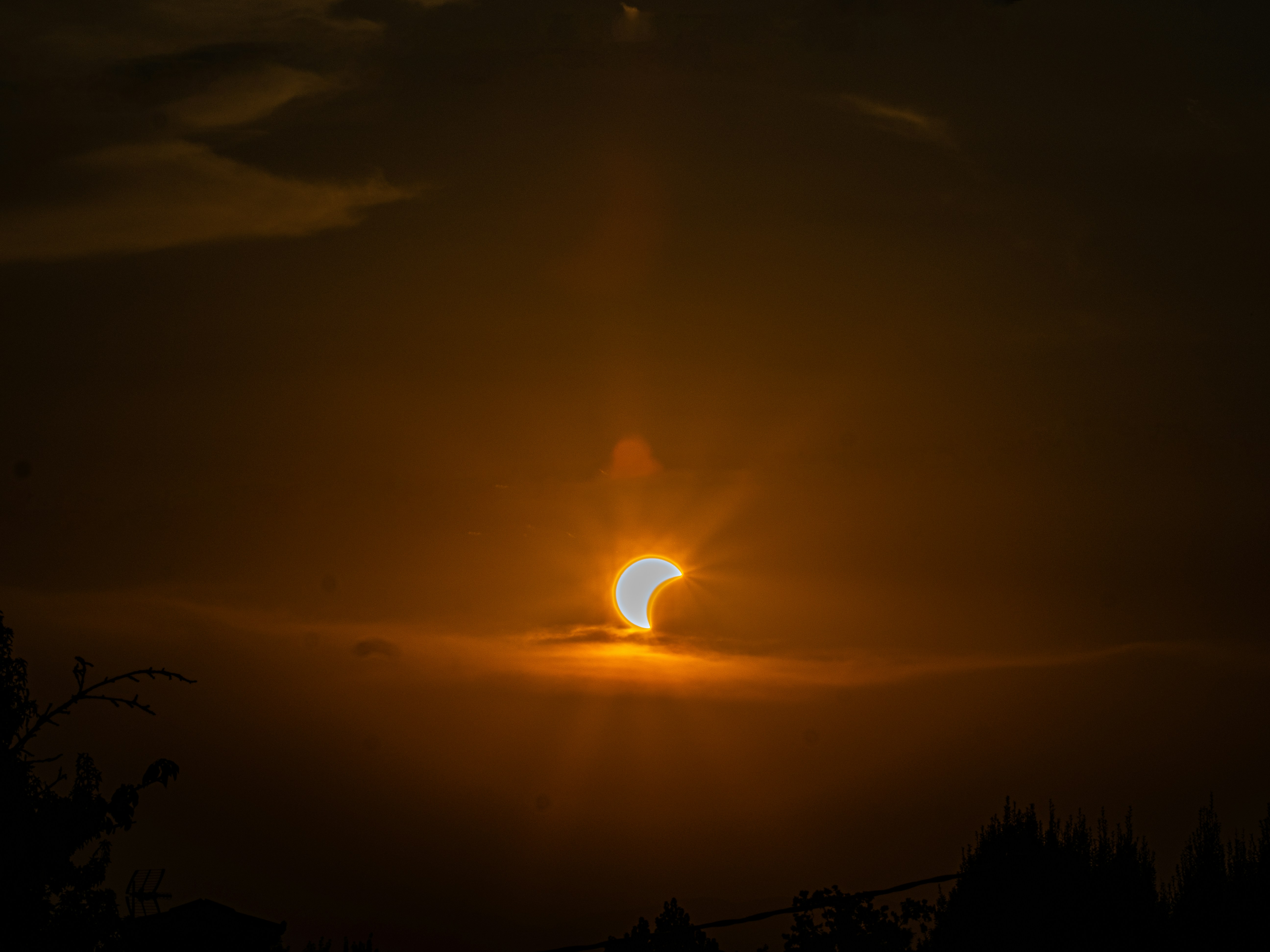 A partial solar eclipse in a dark orange sky above silhouetted trees