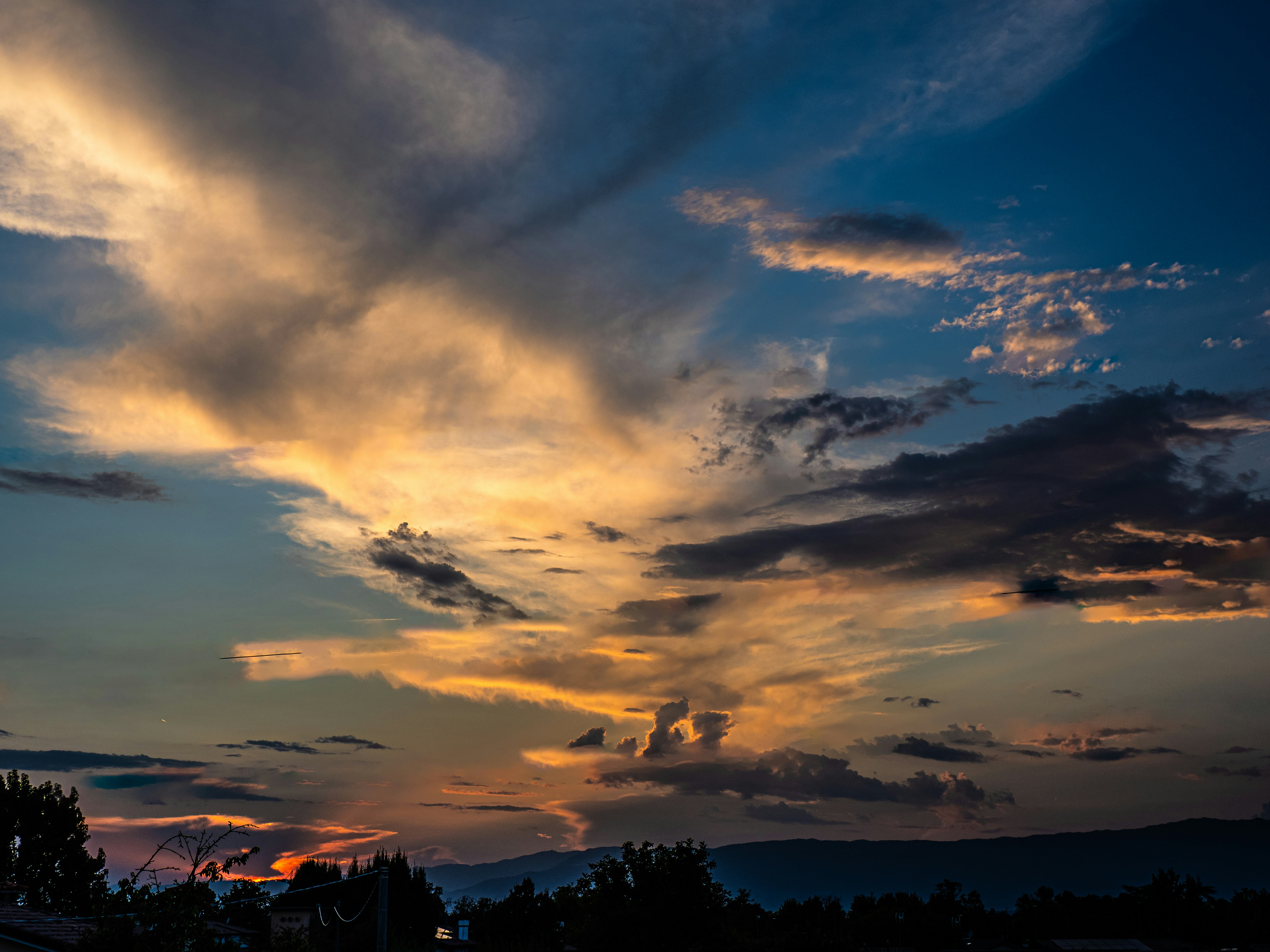 Golden clouds illuminated by low sun above a dark silhouette of trees