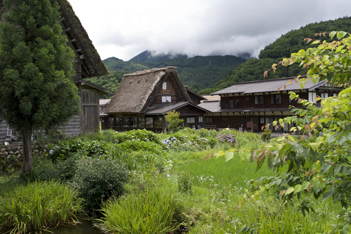 Casas tradicionales con techo de paja en Shirakawago