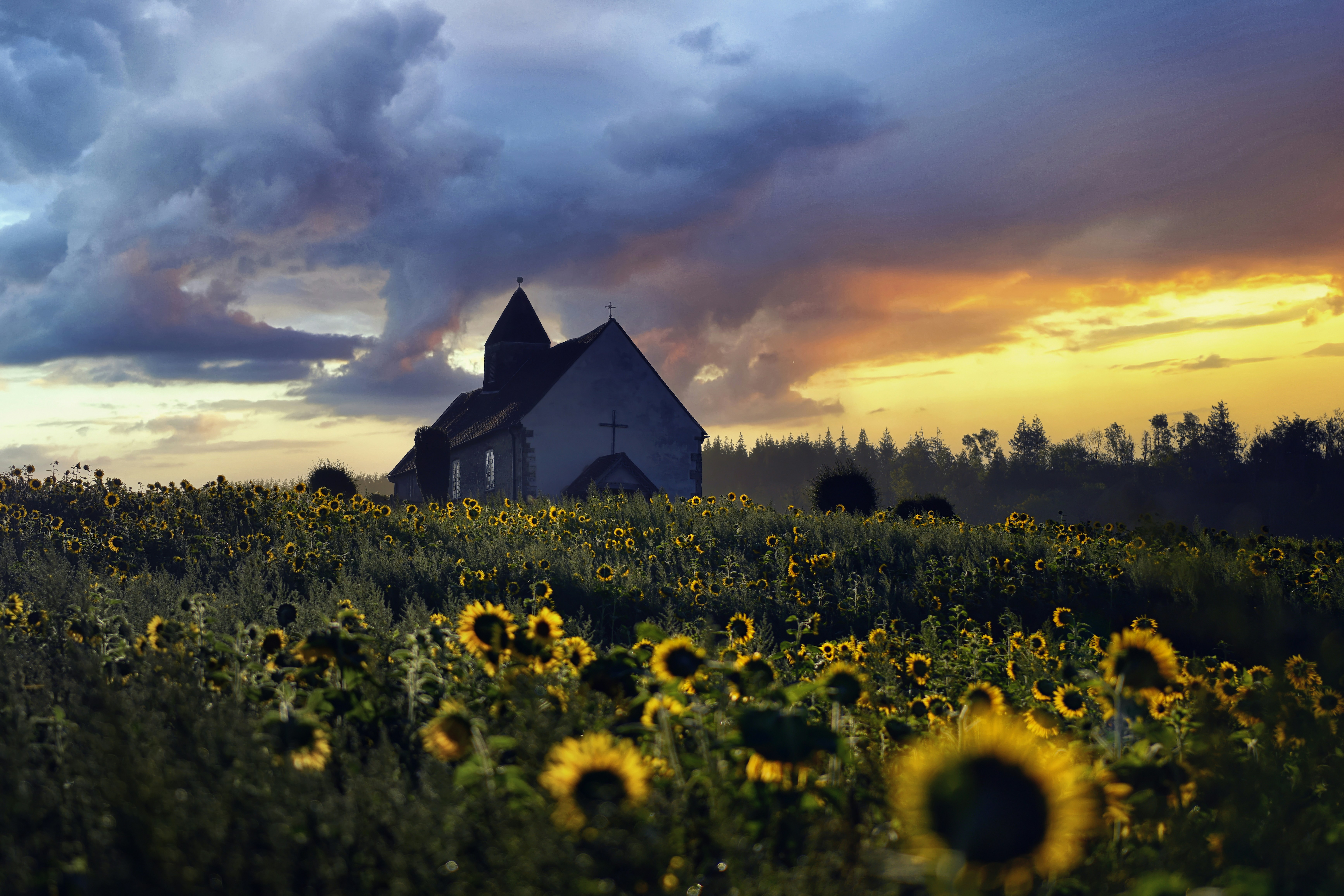 Church behind sunflowers under orange sky - Free Photo on Unsplash