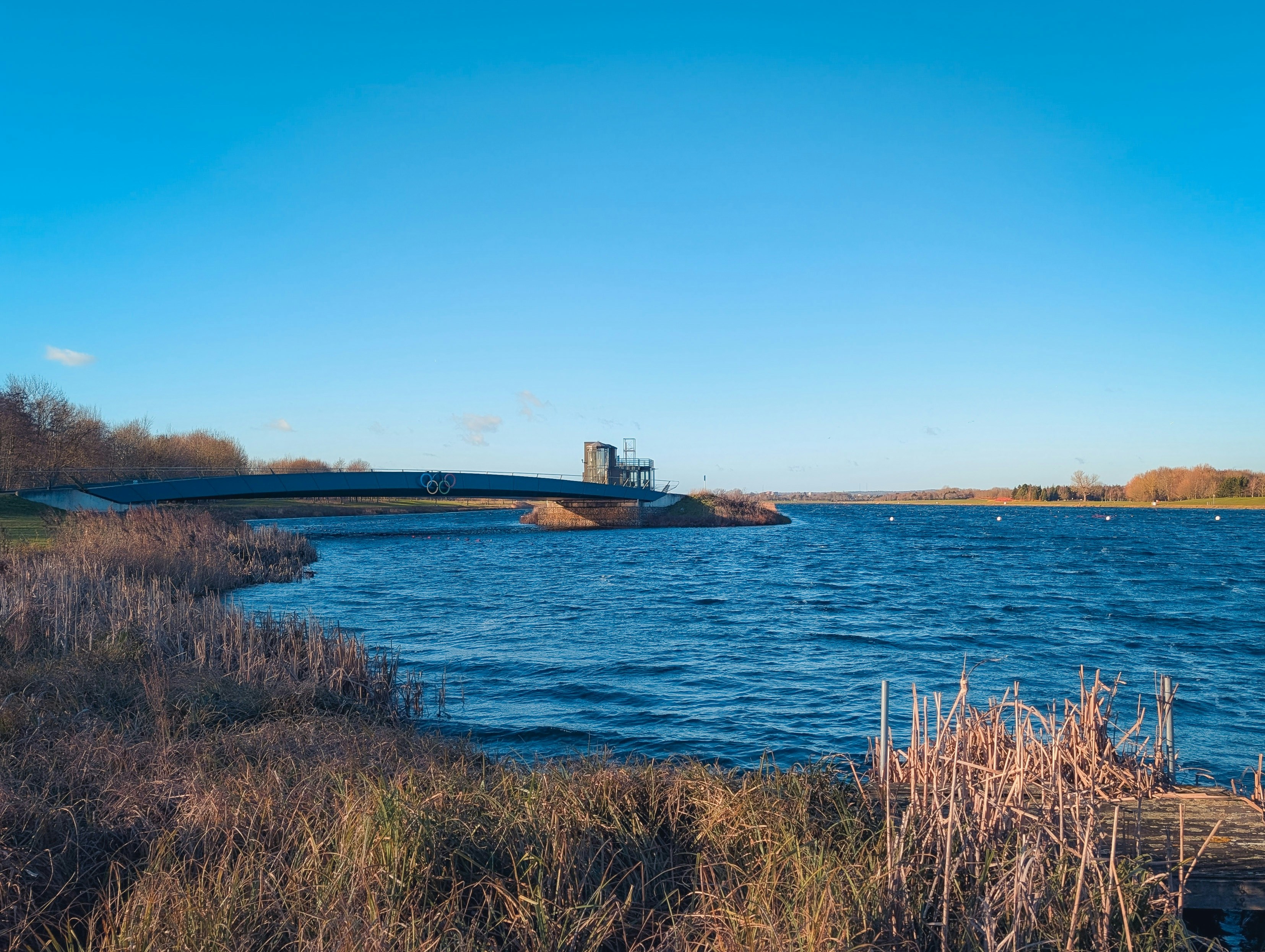 A pedestrian bridge with Olympic rings over a windy lake with dry reeds