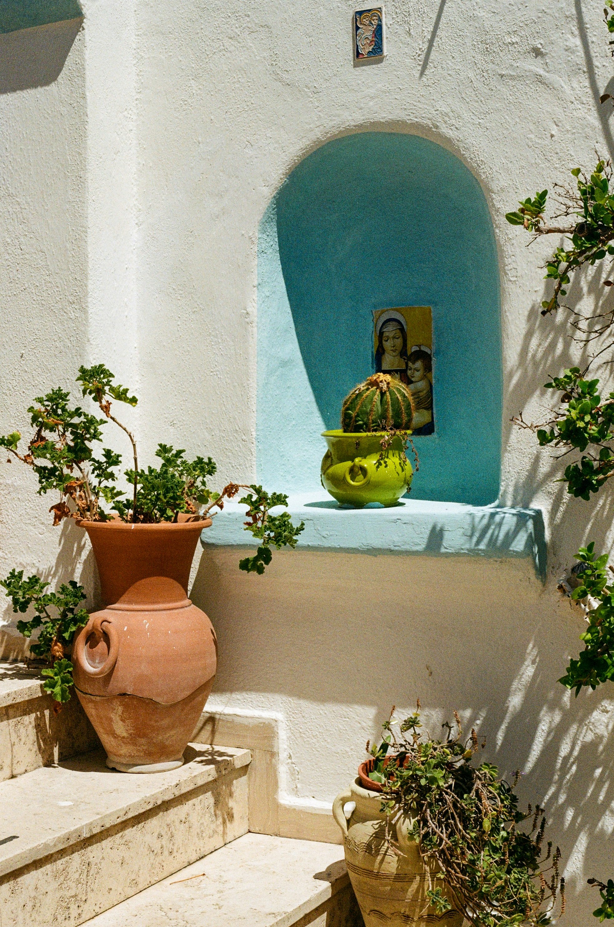 A cactus in a green pot inside a blue wall niche with terracotta planters