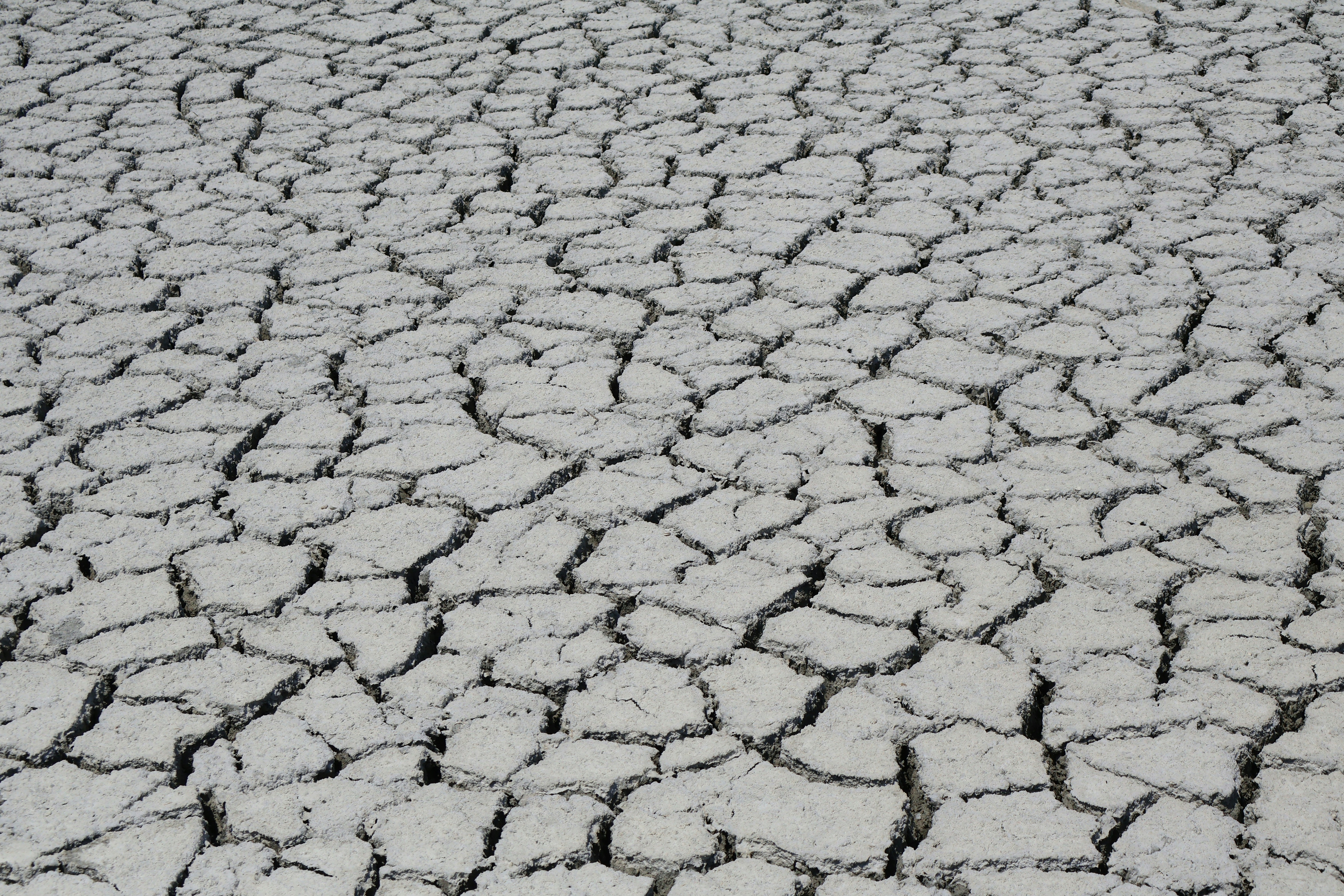 A dry grey earth surface with a network of deep cracks