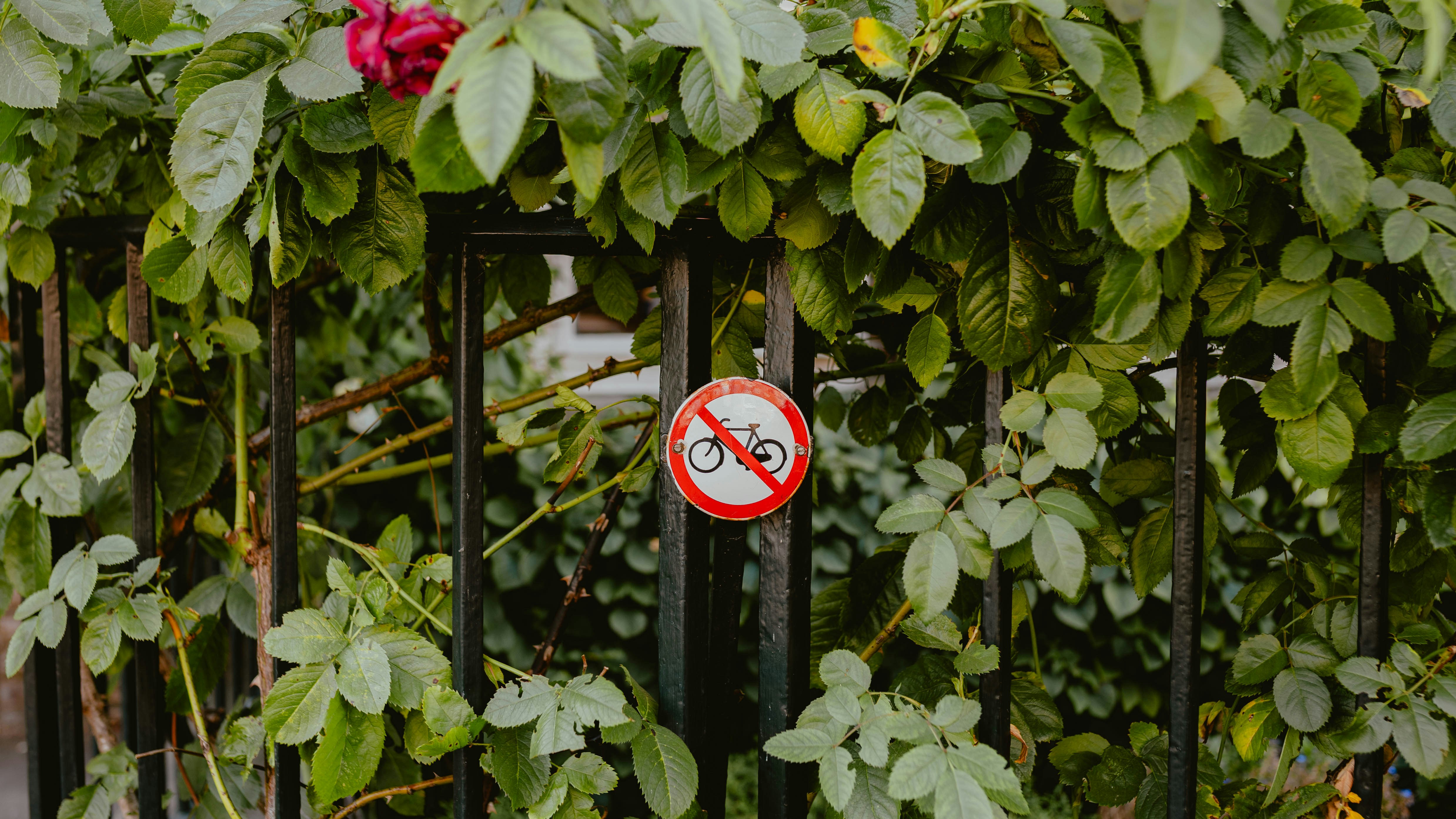 Un panneau interdit les vélos est fixé à une clôture métallique noire couverte de feuilles vertes