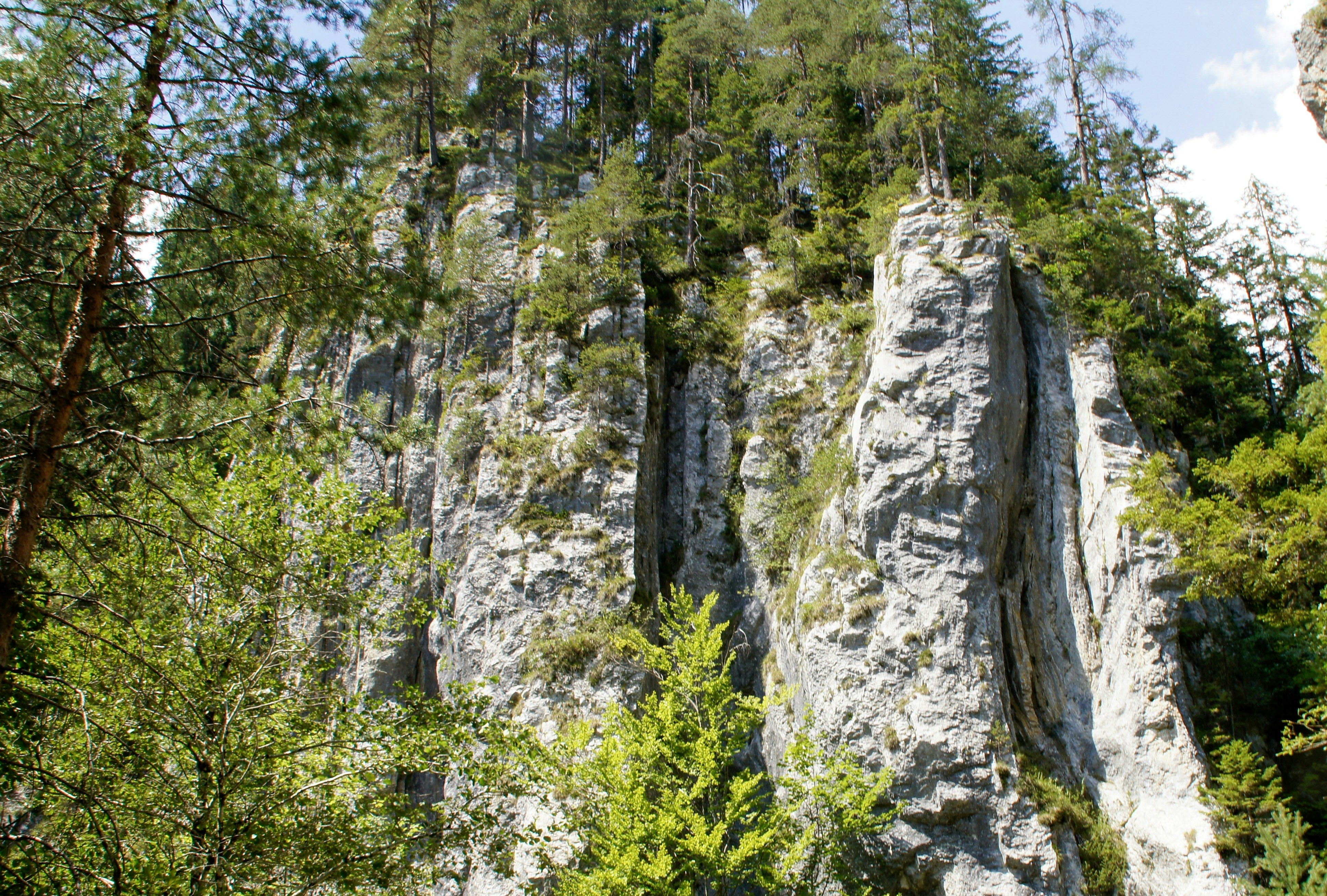 A tall pale rock spire rises dramatically from dense green mountain forest.
