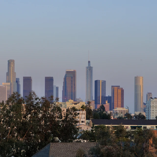 The Los Angeles skyline at golden hour above trees and residential buildings